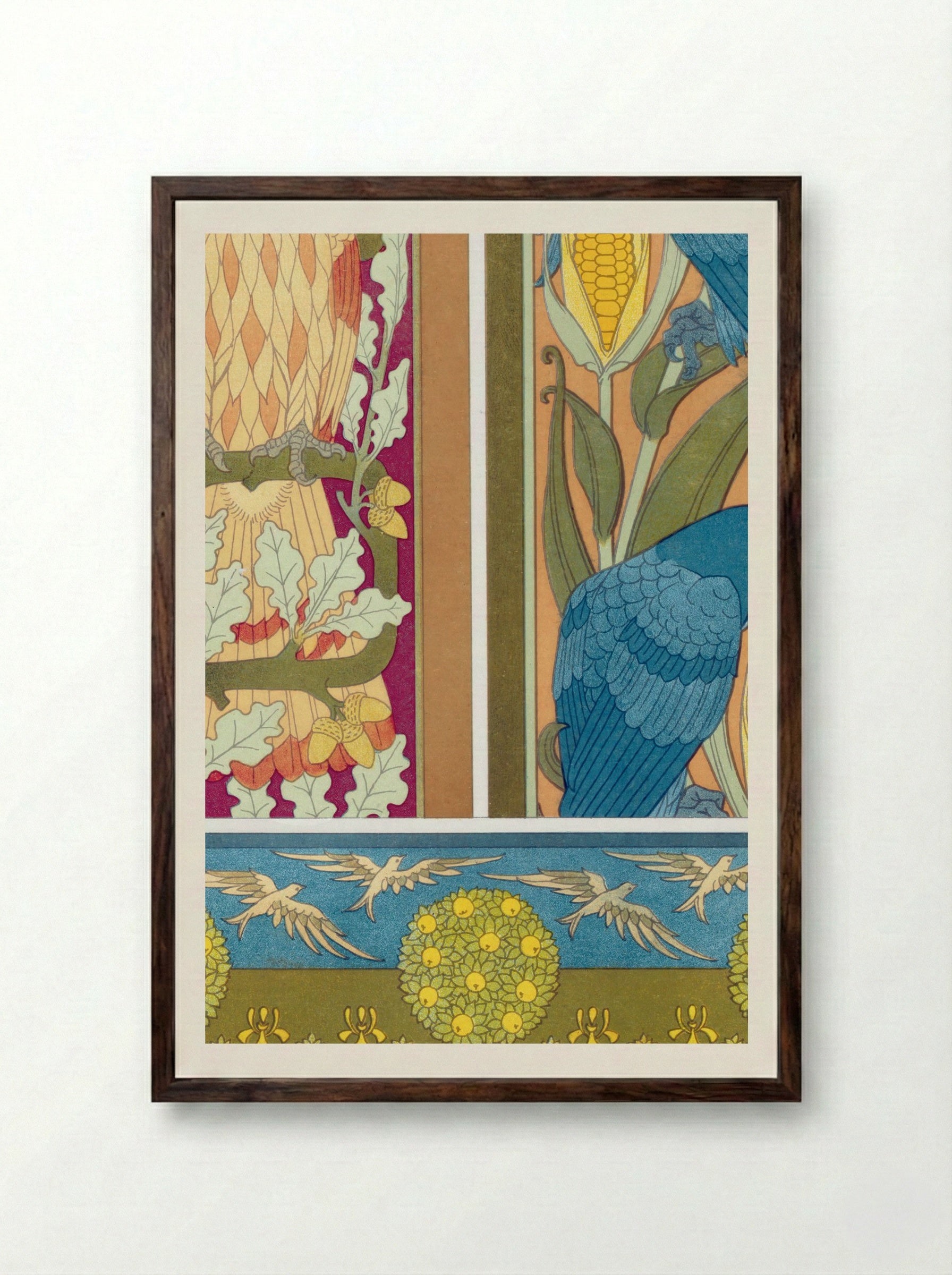 L'Animal dans la Décoration, Plate 12 (Eagle, Macaws, Fish and Birds) - Maurice Pillard Verneuil - Framed Print Dark Wood