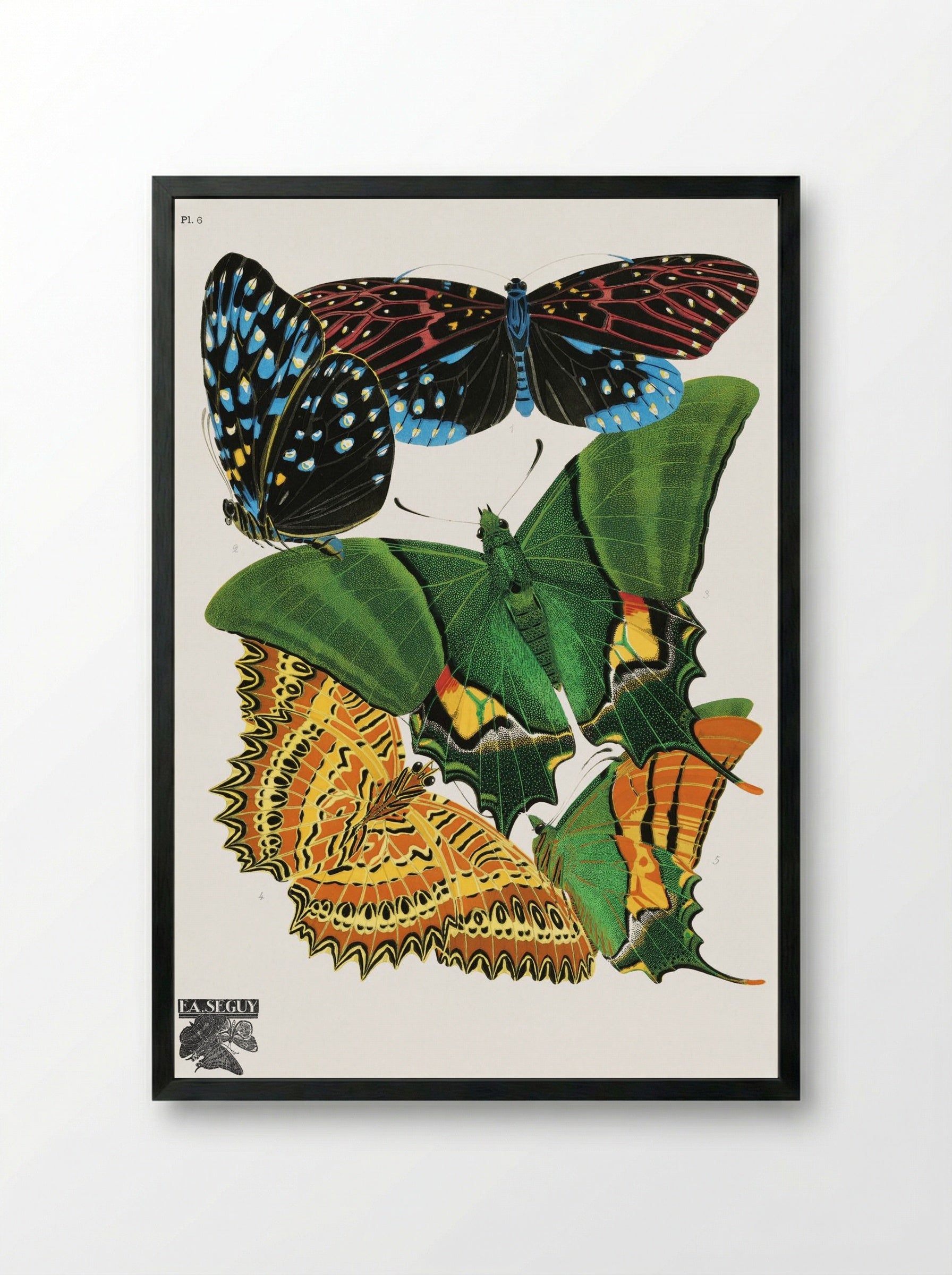 Butterflies, Plate 6 - Eugène Alain Séguy - Framed Print Black