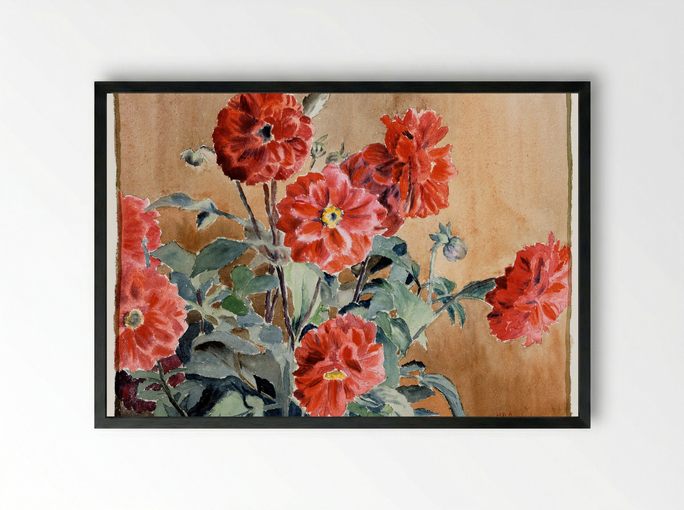 Dahlias (1915) - Hannah Borger Overbeck - Framed Print Black