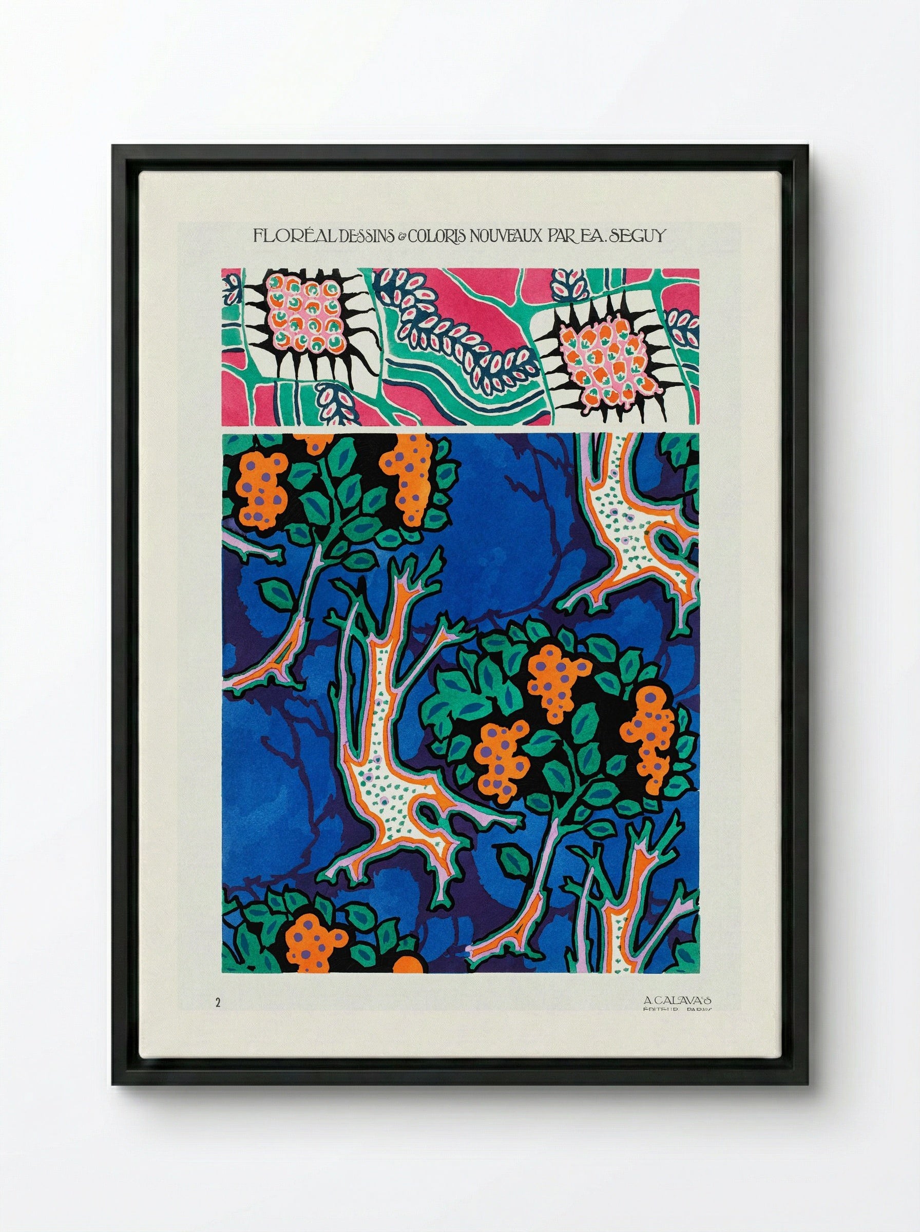 Floral Designs and Colour Schemes (Plate 4) - Émile-Allain Séguy - Framed Canvas Black