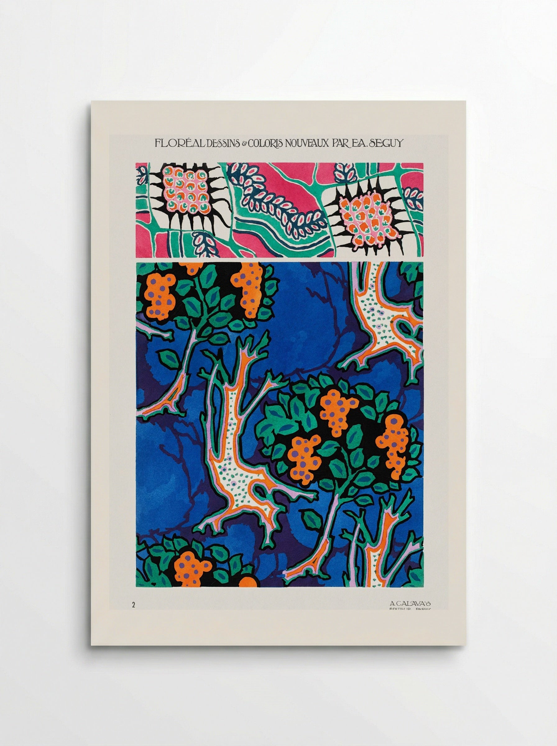 Floral Designs and Colour Schemes (Plate 4) - Émile-Allain Séguy - Poster