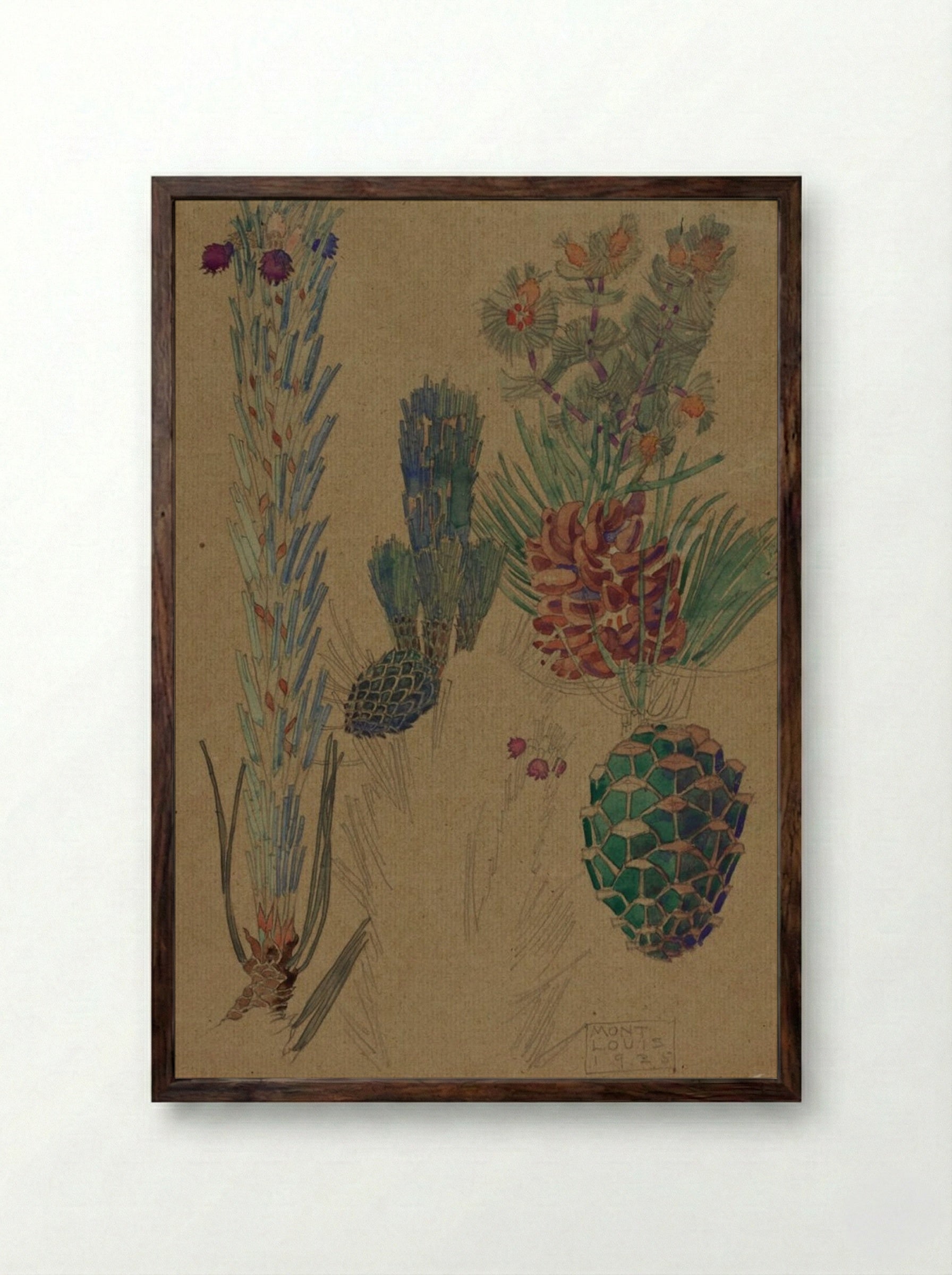 Pine Cones - Mont Louis - Framed Print Dark Wood