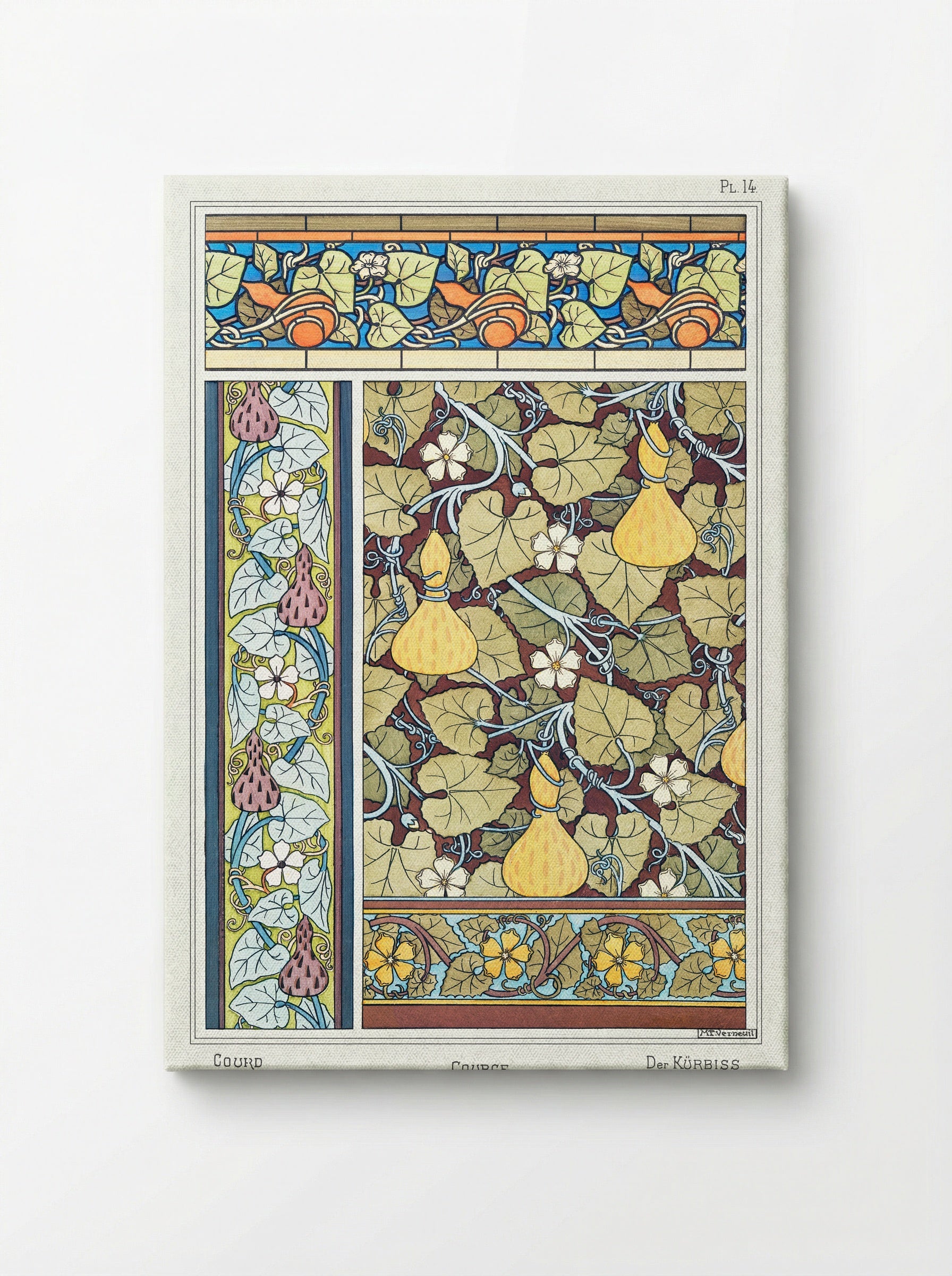 Courge (White-Flowered Gourd, Plate 14) - Maurice Pillard Verneuil - Canvas