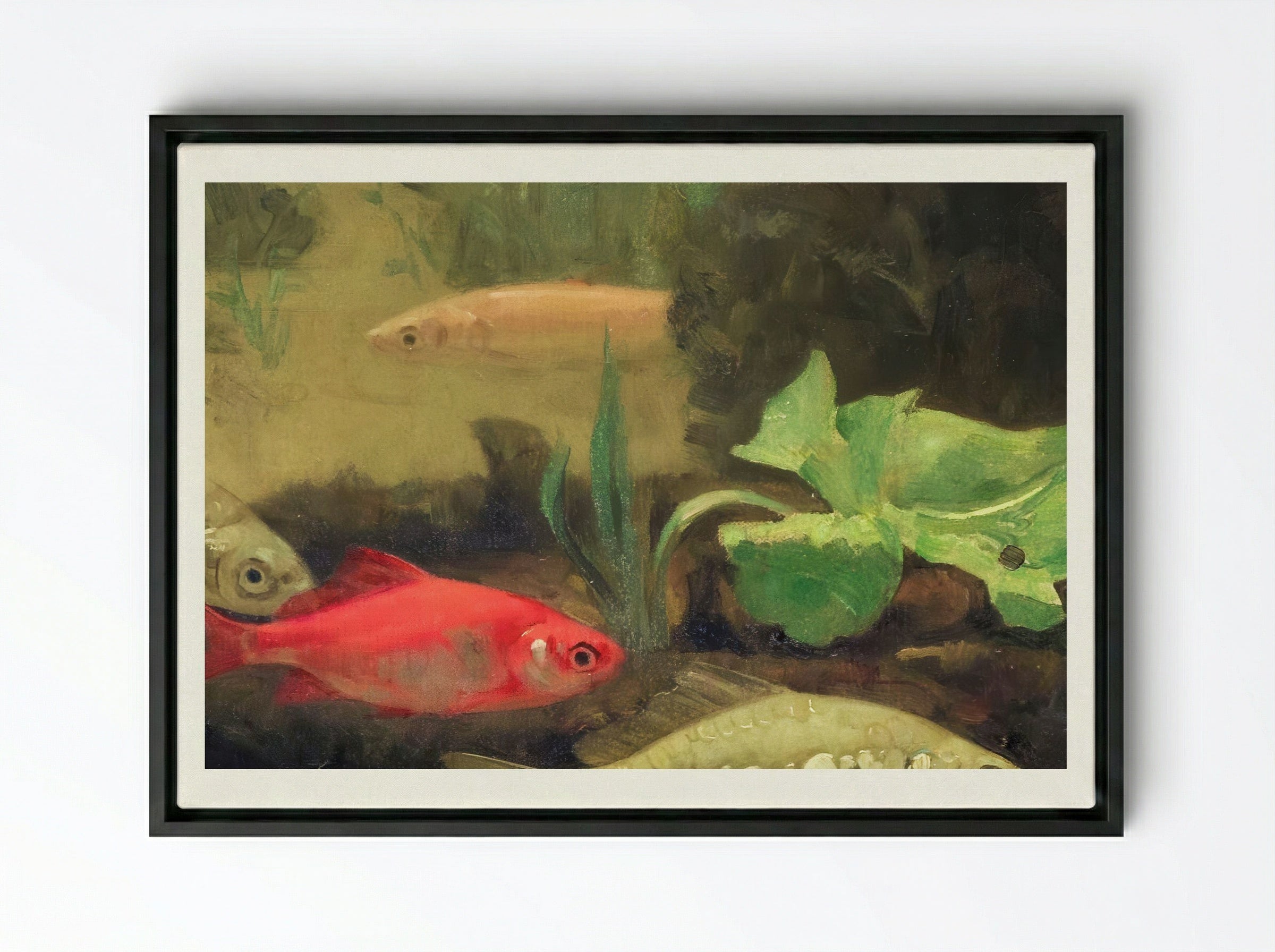 Gold and Silverfish in an Aquarium - Gerrit Willem Dijsselhof - Framed Canvas Black