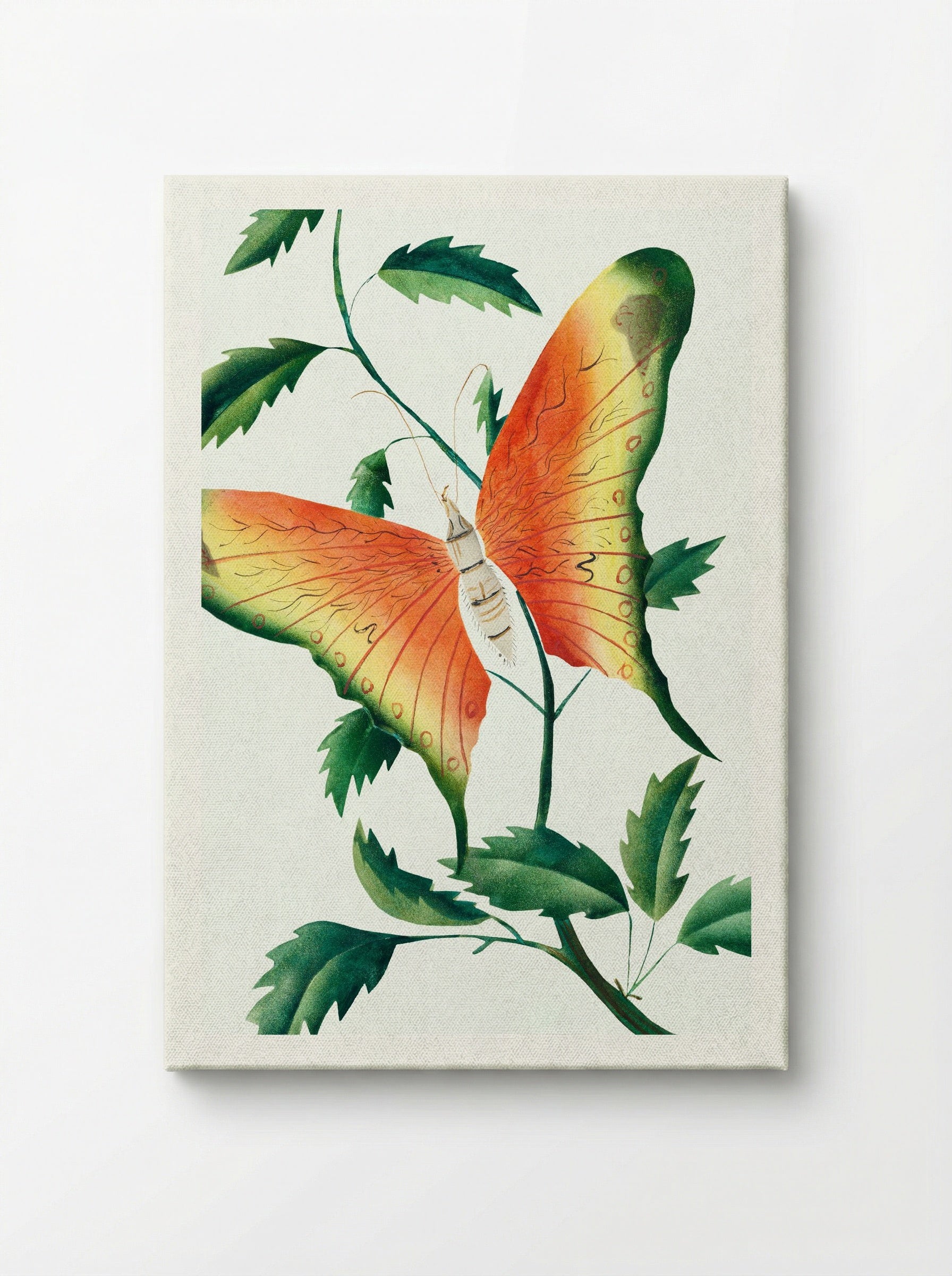 Rose Bush and Butterfly - Mary Altha Nims - Canvas
