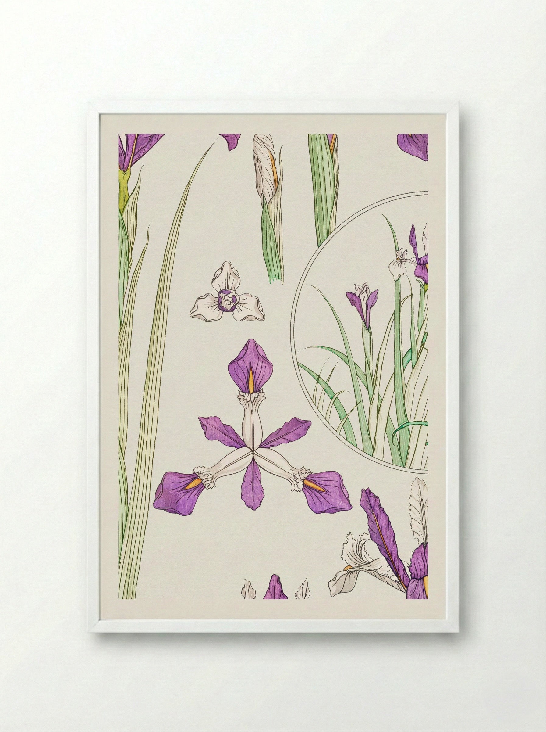 Iris, from La Plante et ses Applications ornementales - Maurice Pillard Verneuil - Framed Print White