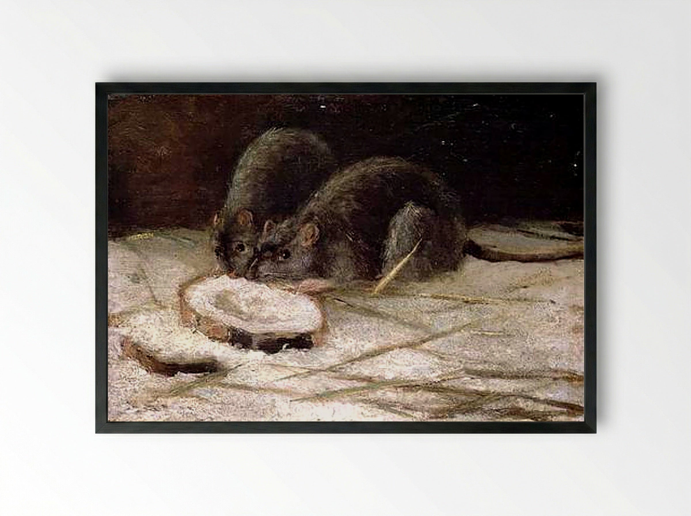 Two Rats Eating - Fine Art Print - Framed Print Black