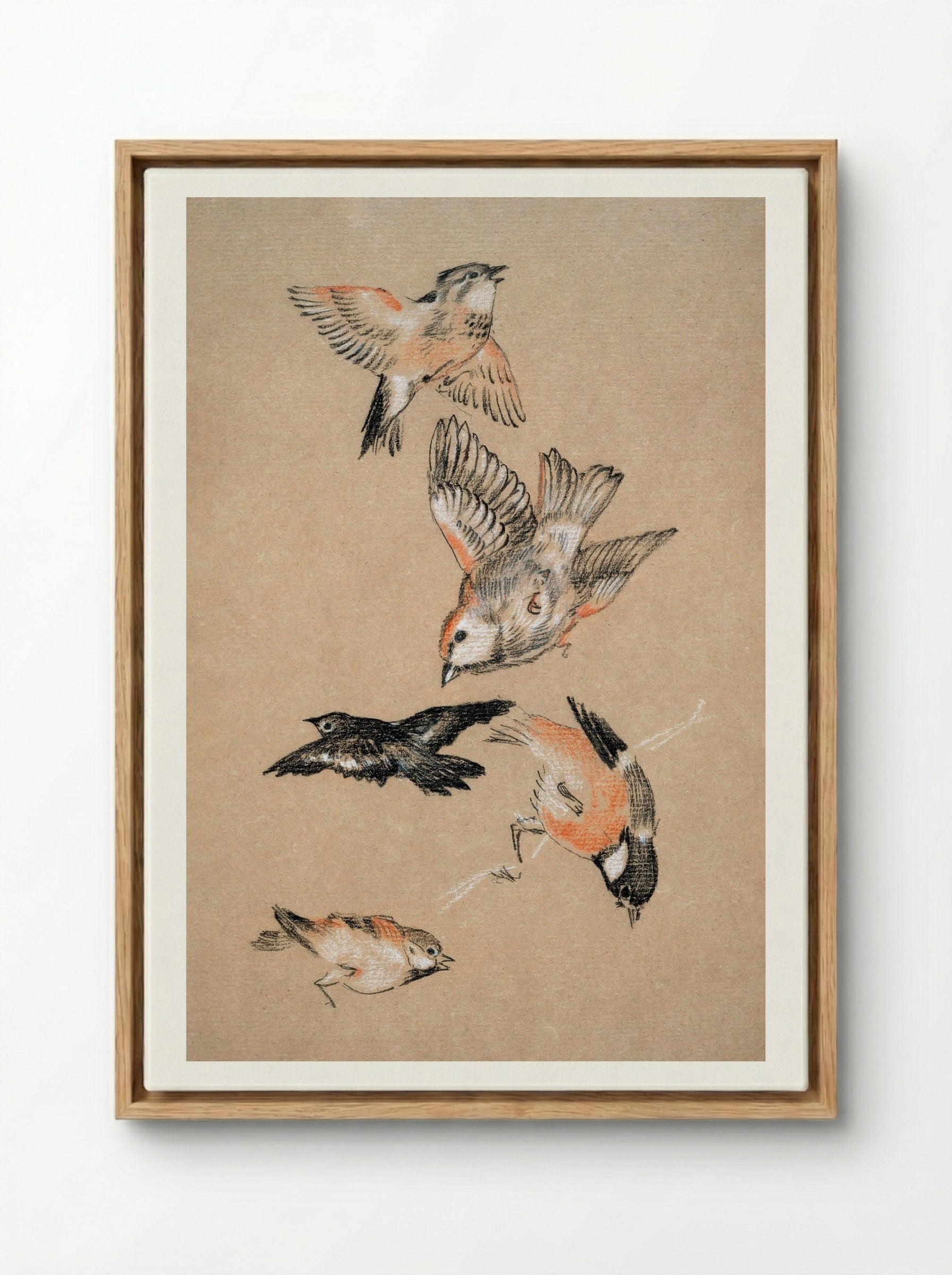 Study of Finches (for 'Love Leading the Pilgrim') - Edward Burne-Jones - Framed Canvas Wood