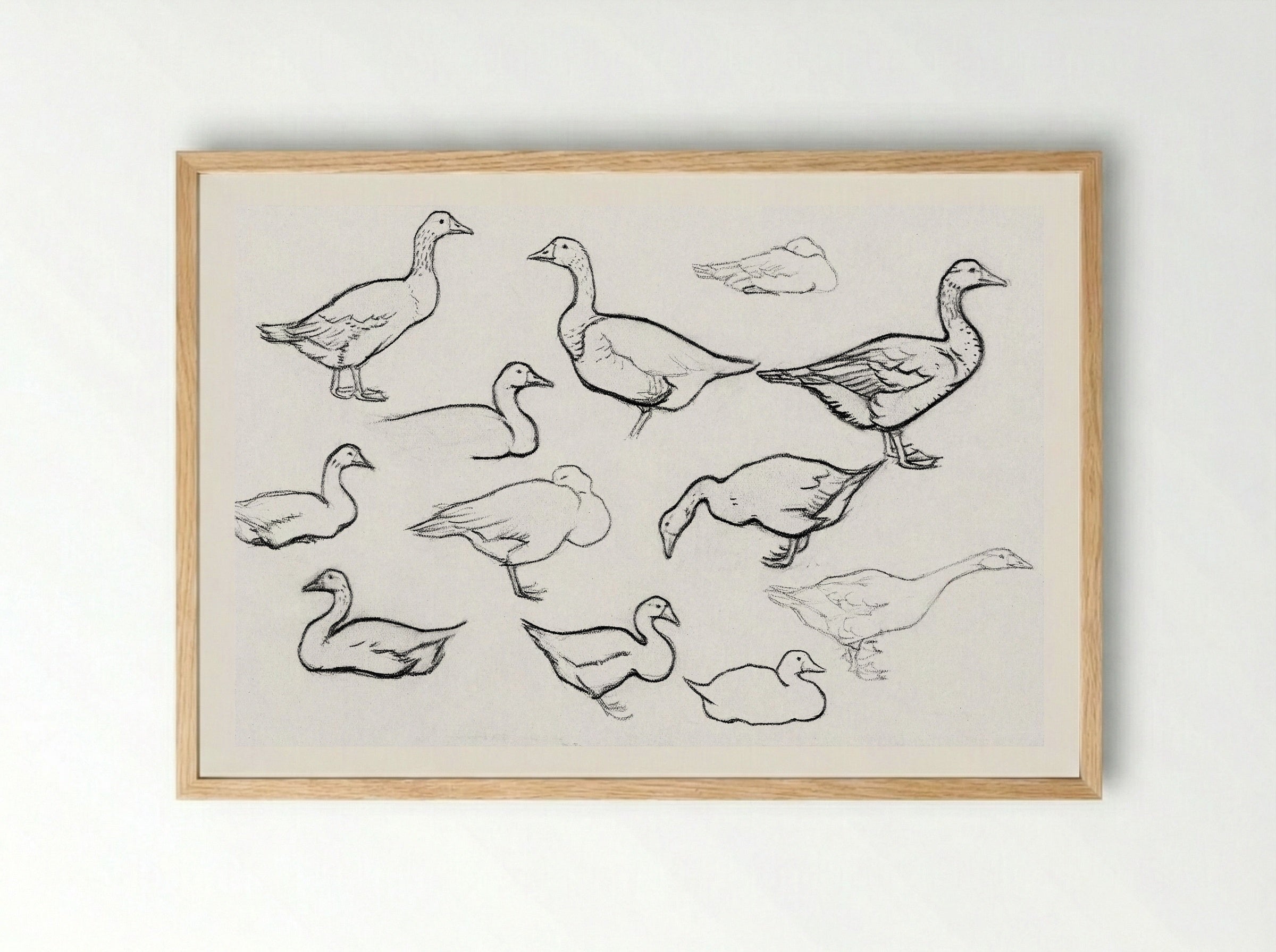 Study of Geese - Julie de Graag - Framed Print Wood