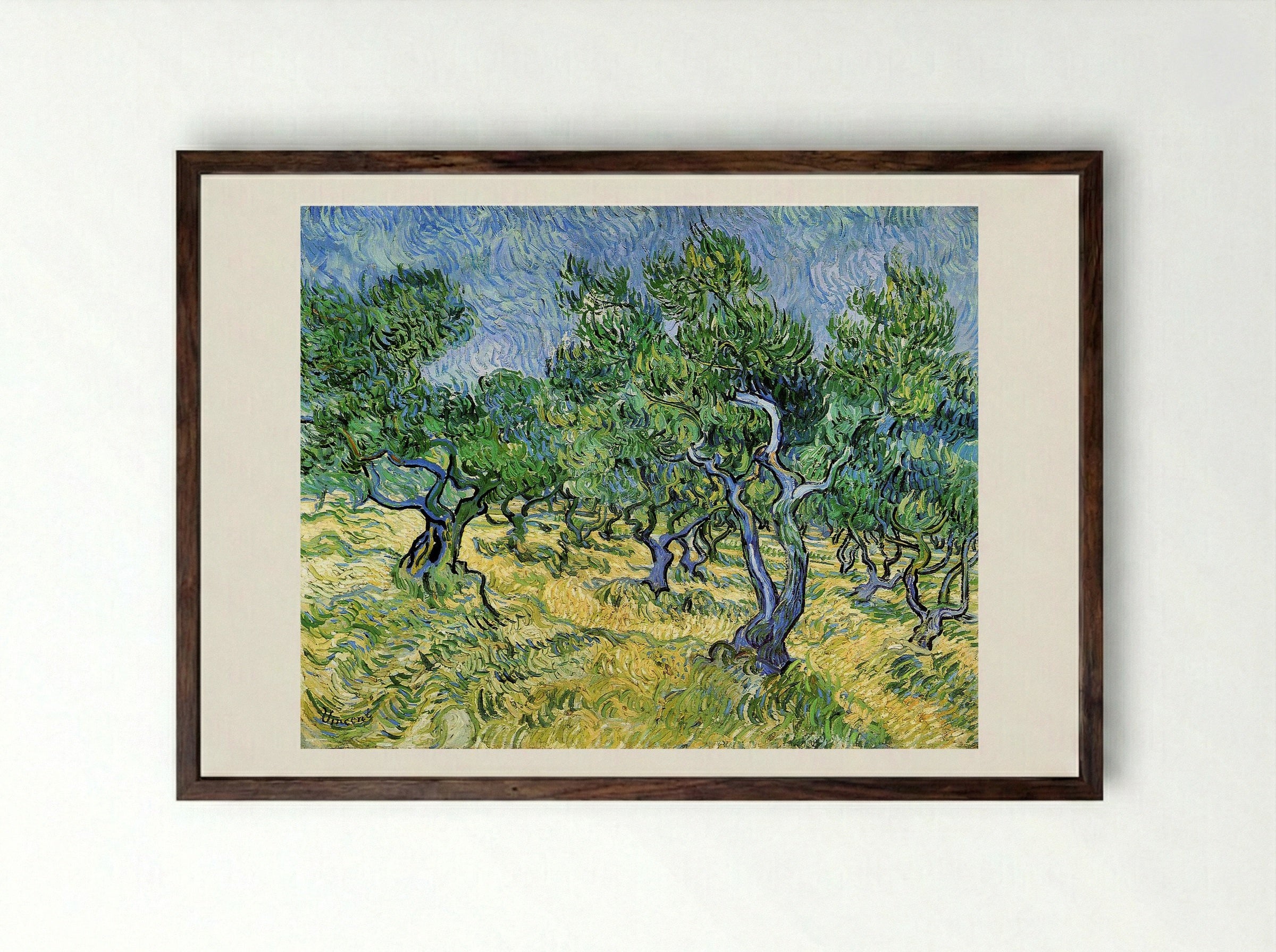 Olive Grove - Vincent van Gogh - Framed Print Dark Wood
