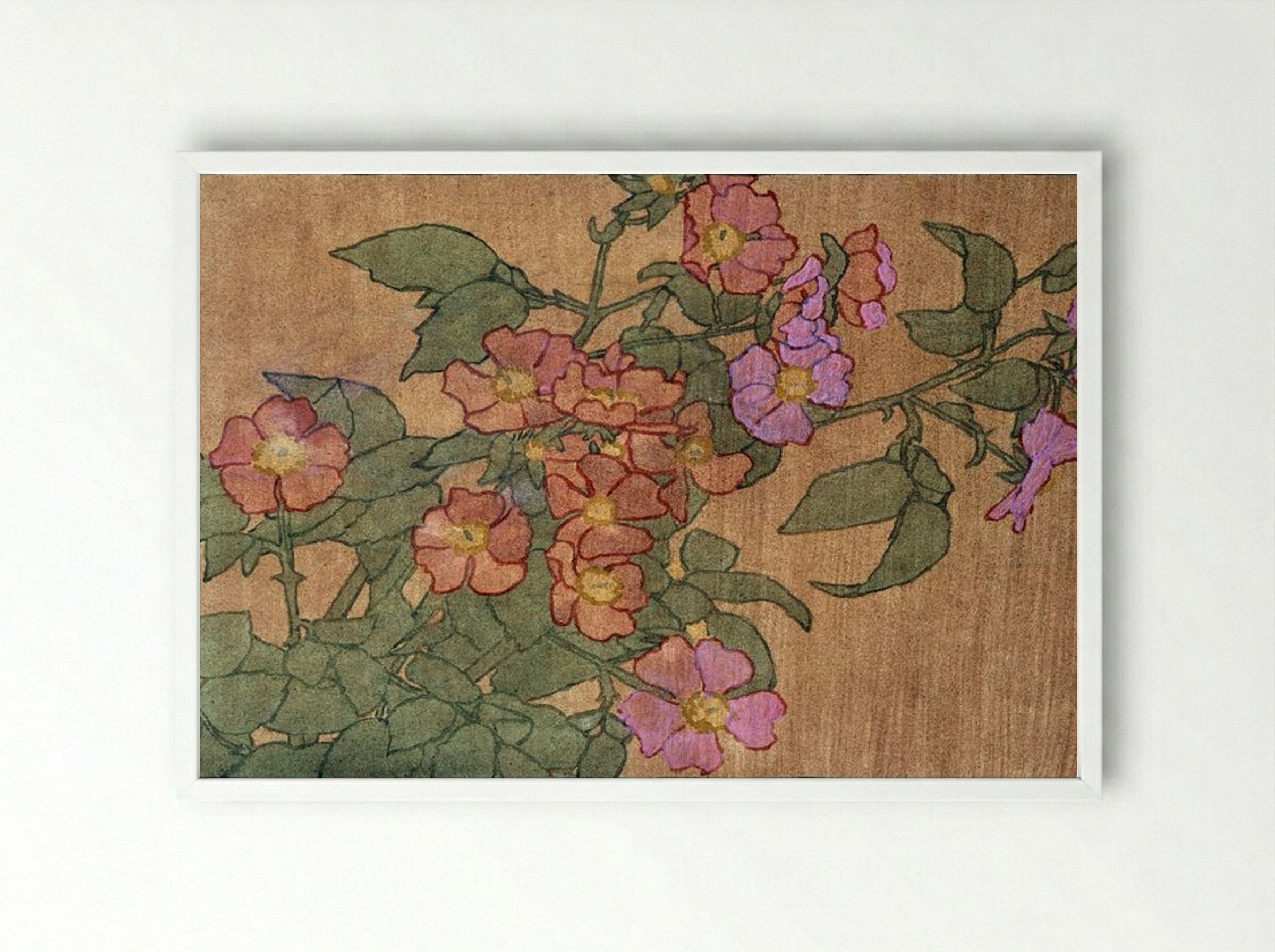Pink Roses on Terracotta Colour Ground - Hannah Borger Overbeck - Framed Print White