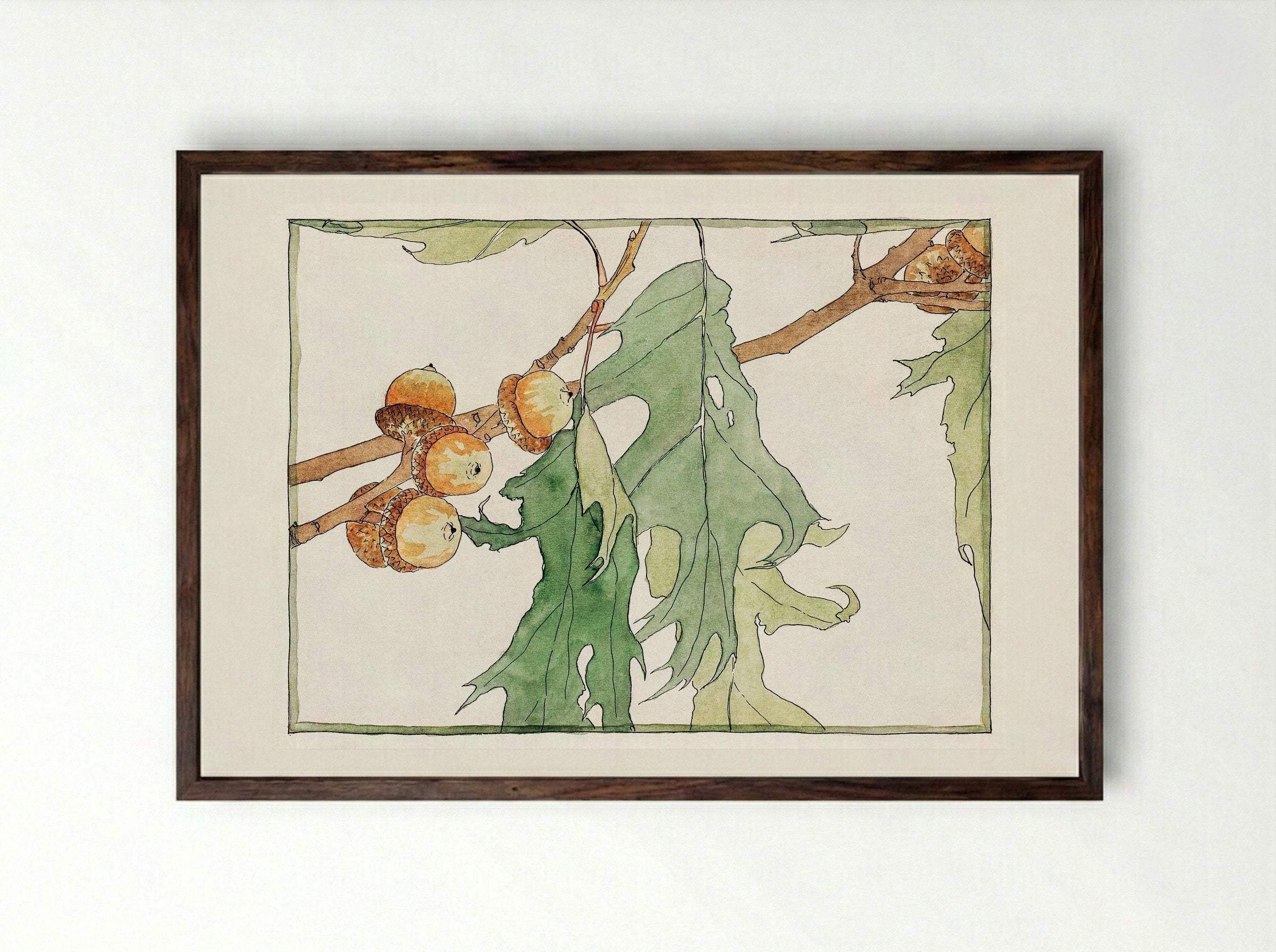 Oak Acorns (1915) - Hannah Borger Overbeck - Framed Print Dark Wood