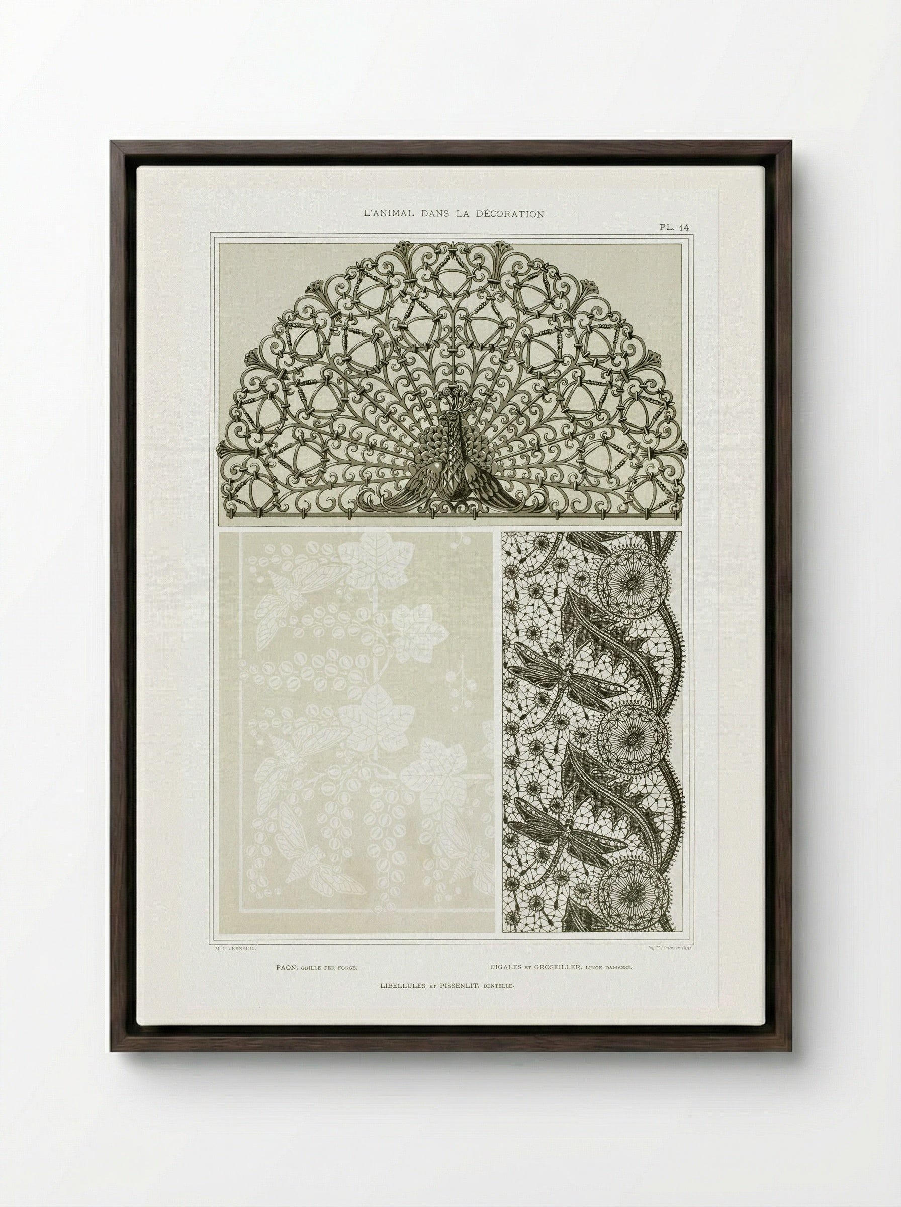 L'Animal dans la Décoration, Plate 14 (Peacock, Cicadas, Dragonflies) - Maurice Pillard Verneuil - Framed Canvas Dark Wood