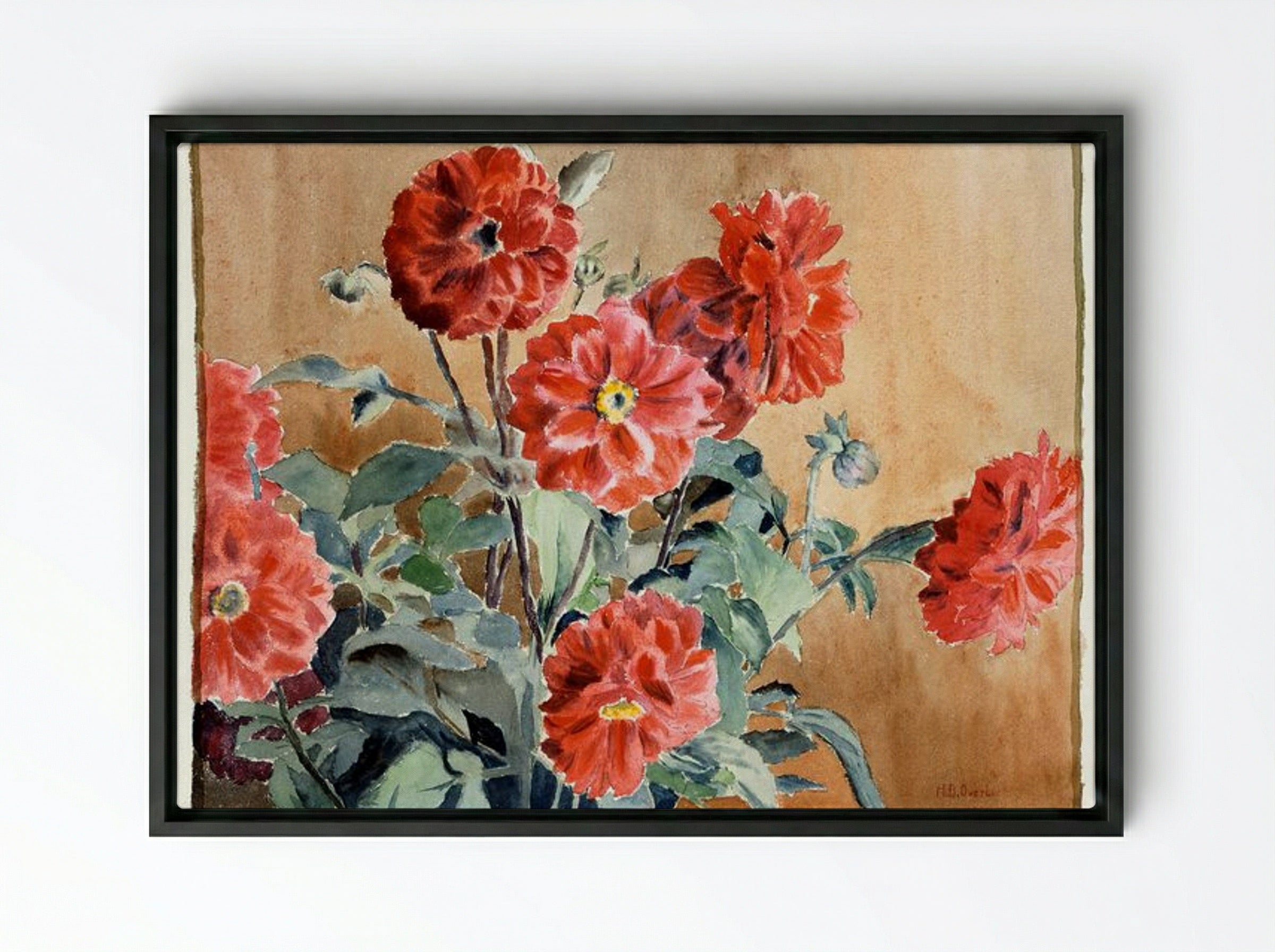 Dahlias - Hannah Borger Overbeck - Framed Canvas Black