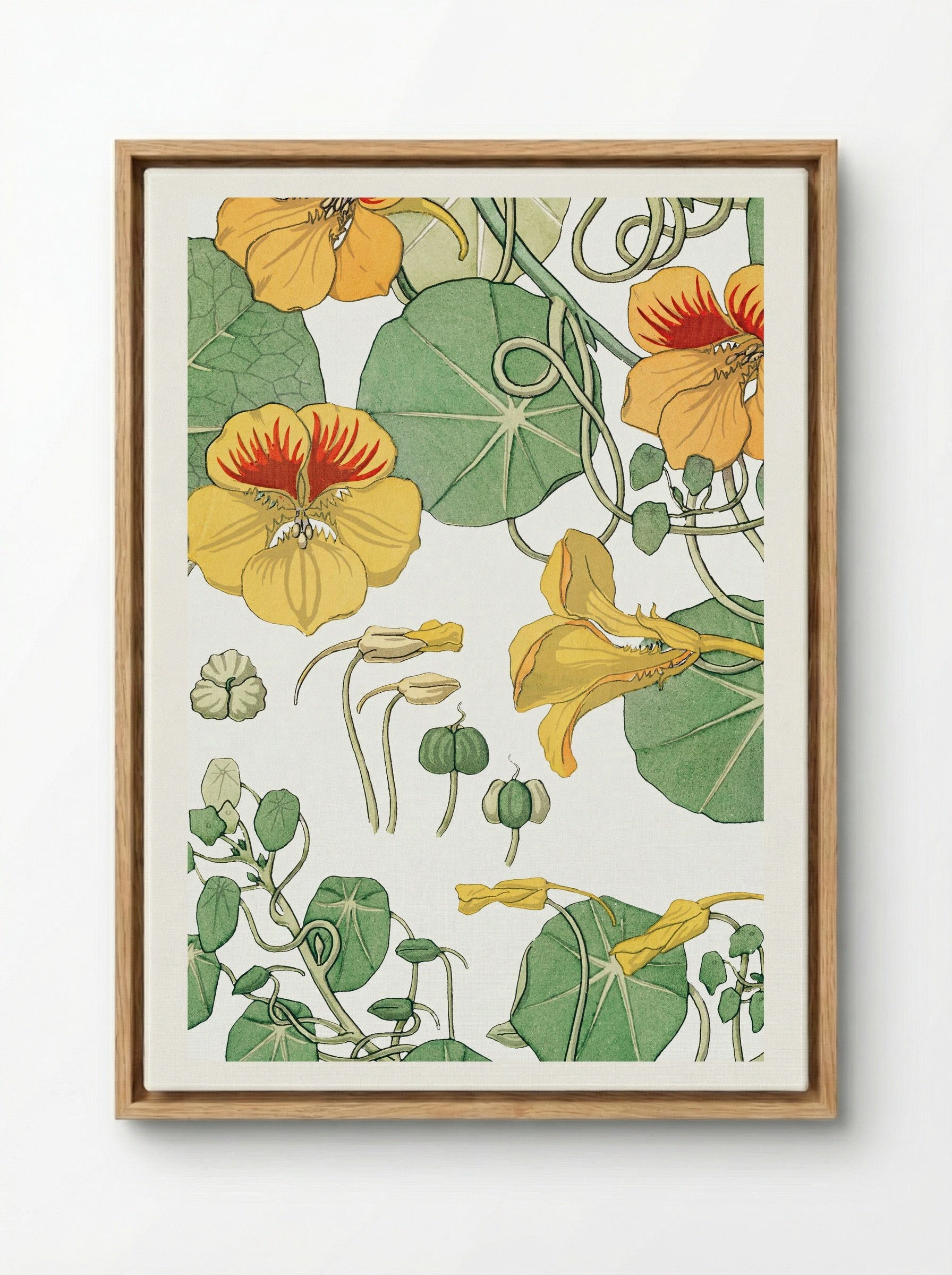 Capucine (Nasturtium) - Maurice Pillard Verneuil - Framed Canvas Wood