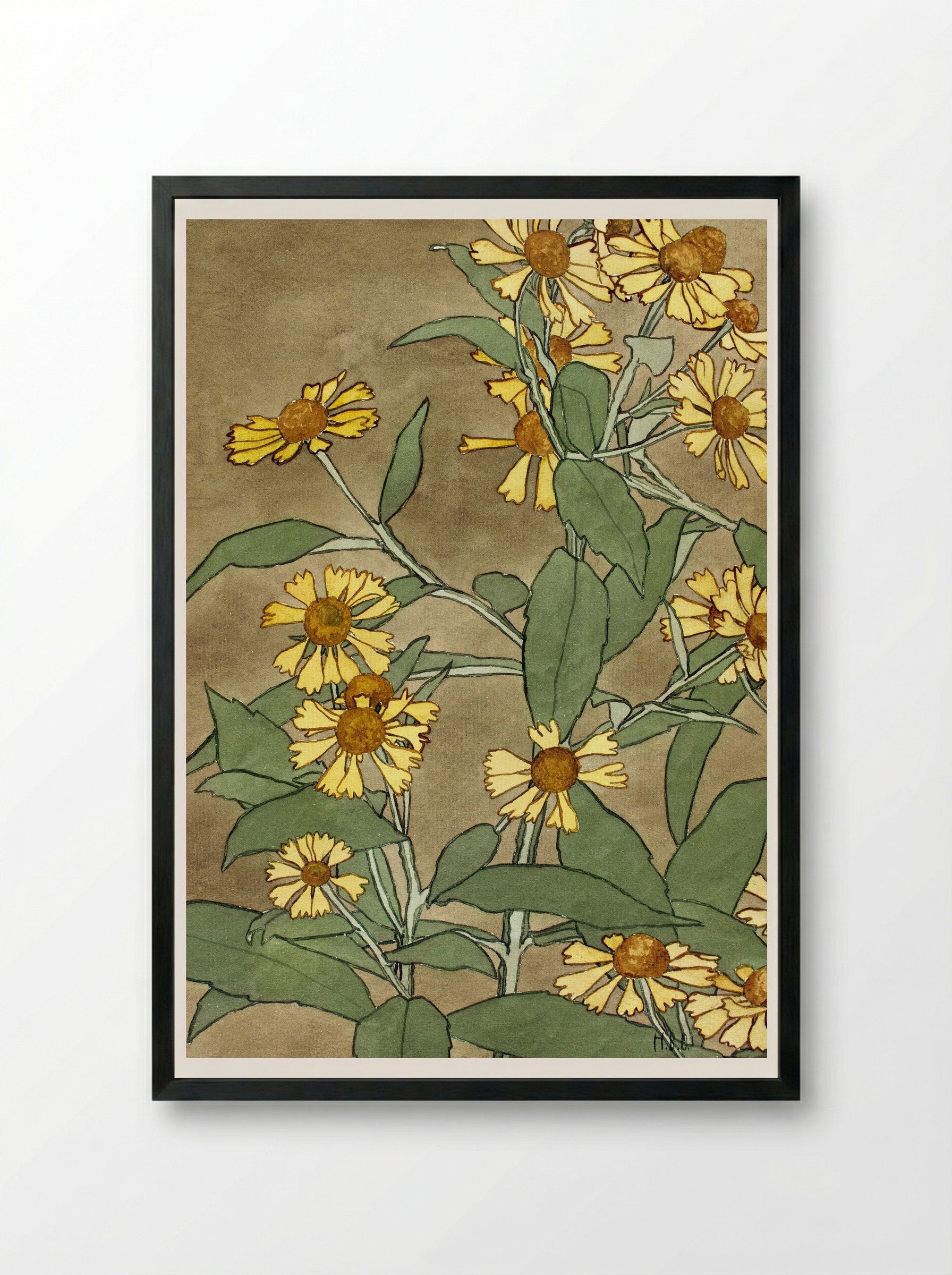 Daisies with Orange Center and Yellow Petals - Hannah Borger Overbeck - Framed Print Black