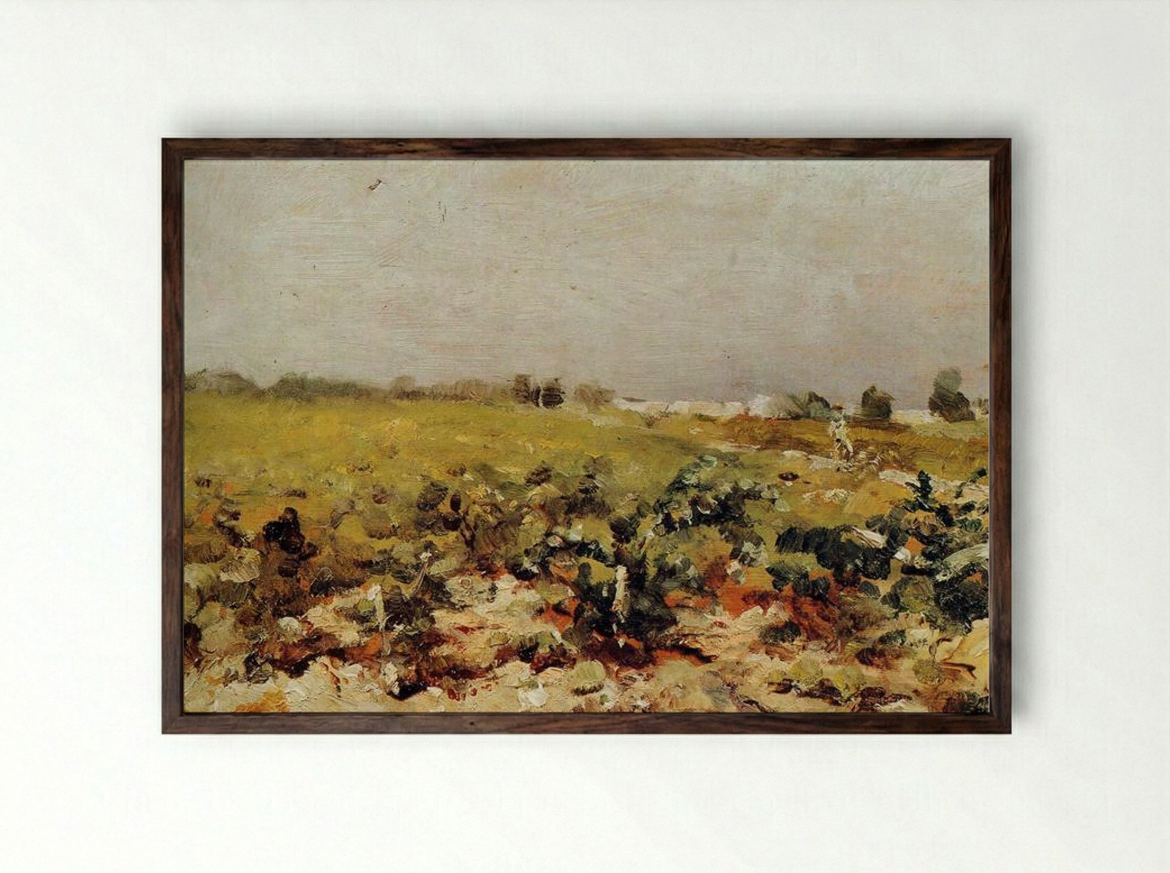 Céleyran, View of the Vineyards - Henri de Toulouse-Lautrec - Framed Print Dark Wood