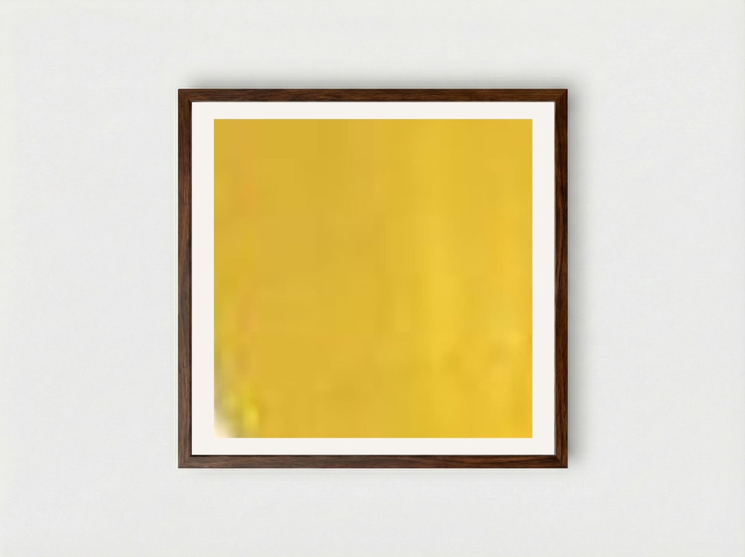 Zinc Yellow - Franz Kline - Framed Print Dark Wood