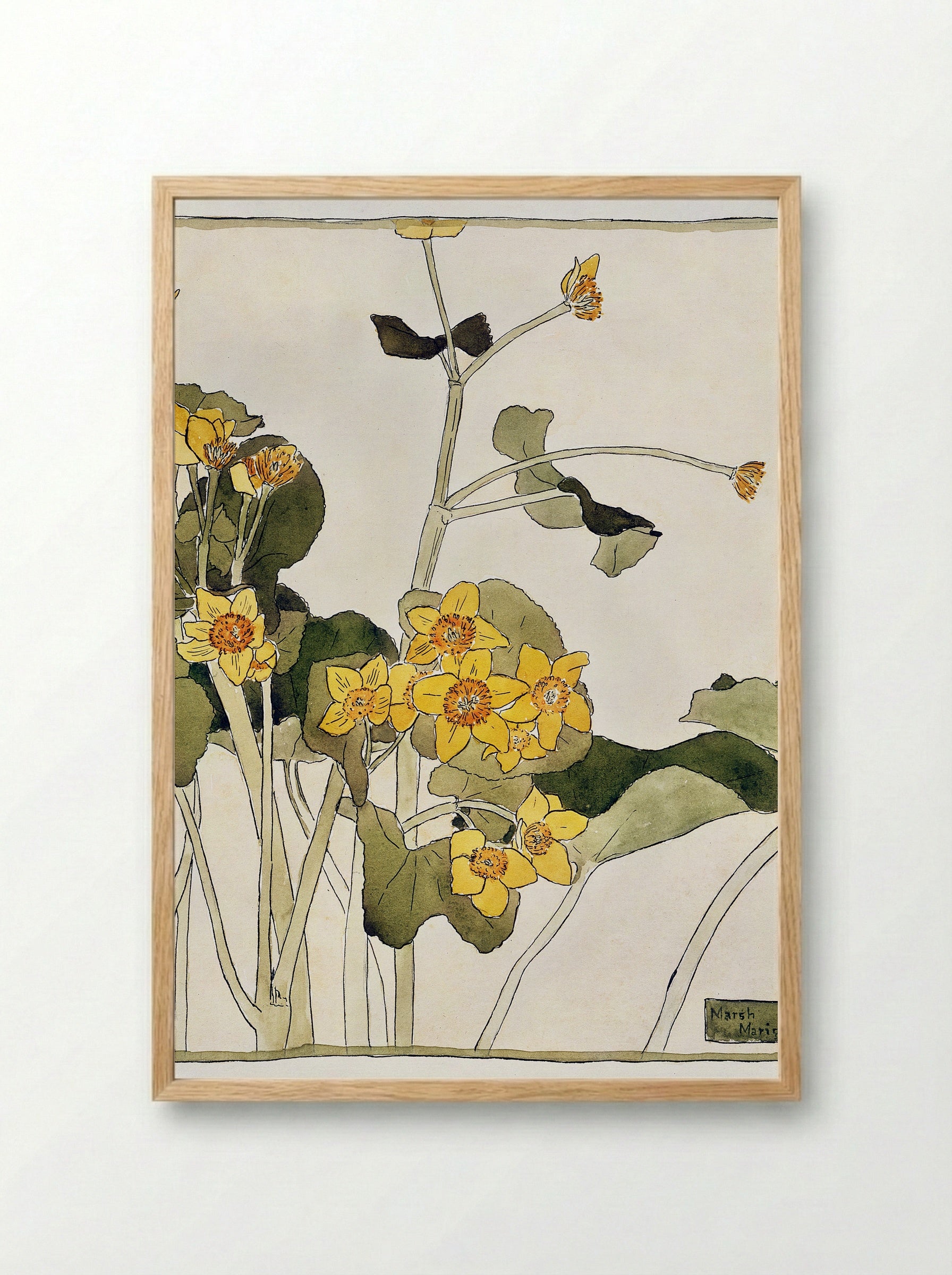 Marsh Marigold (1915) - Hannah Borger Overbeck - Framed Print Wood