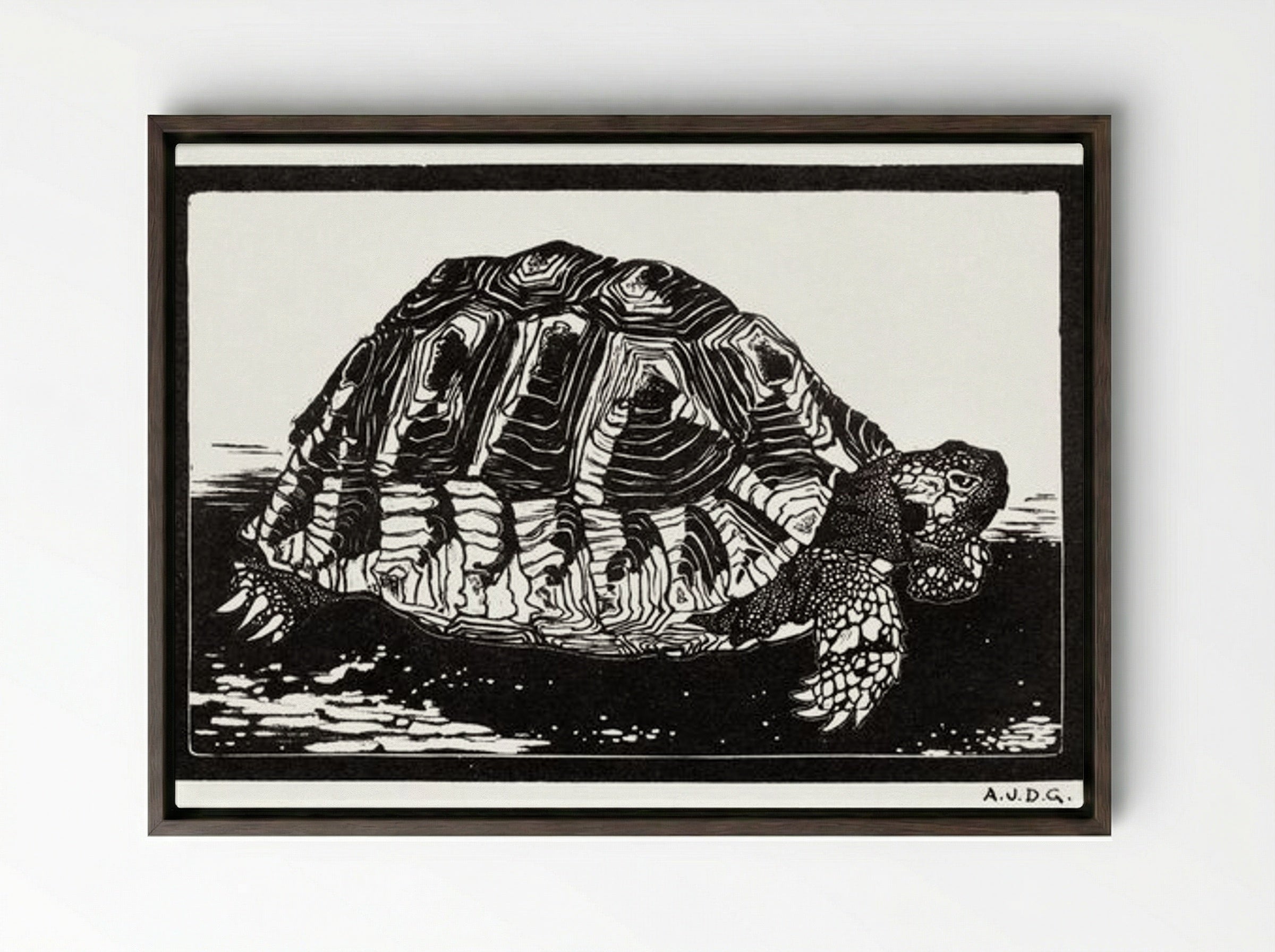Turtle - Julie de Graag - Framed Canvas Dark Wood