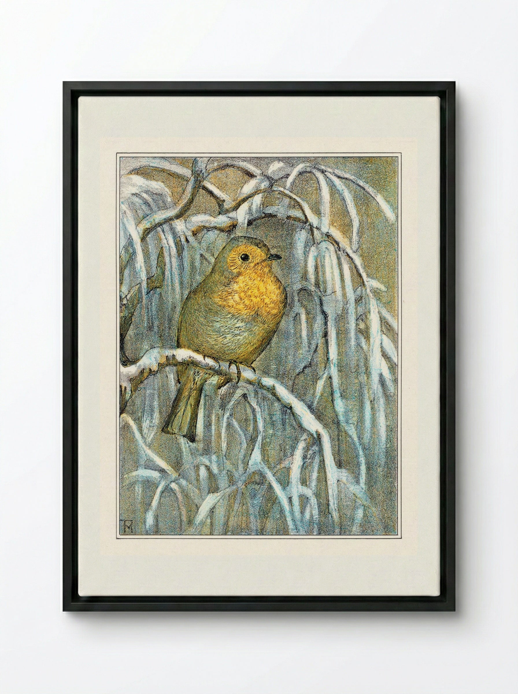Robin on Snowy Branch - Theo van Hoytema - Framed Canvas Black