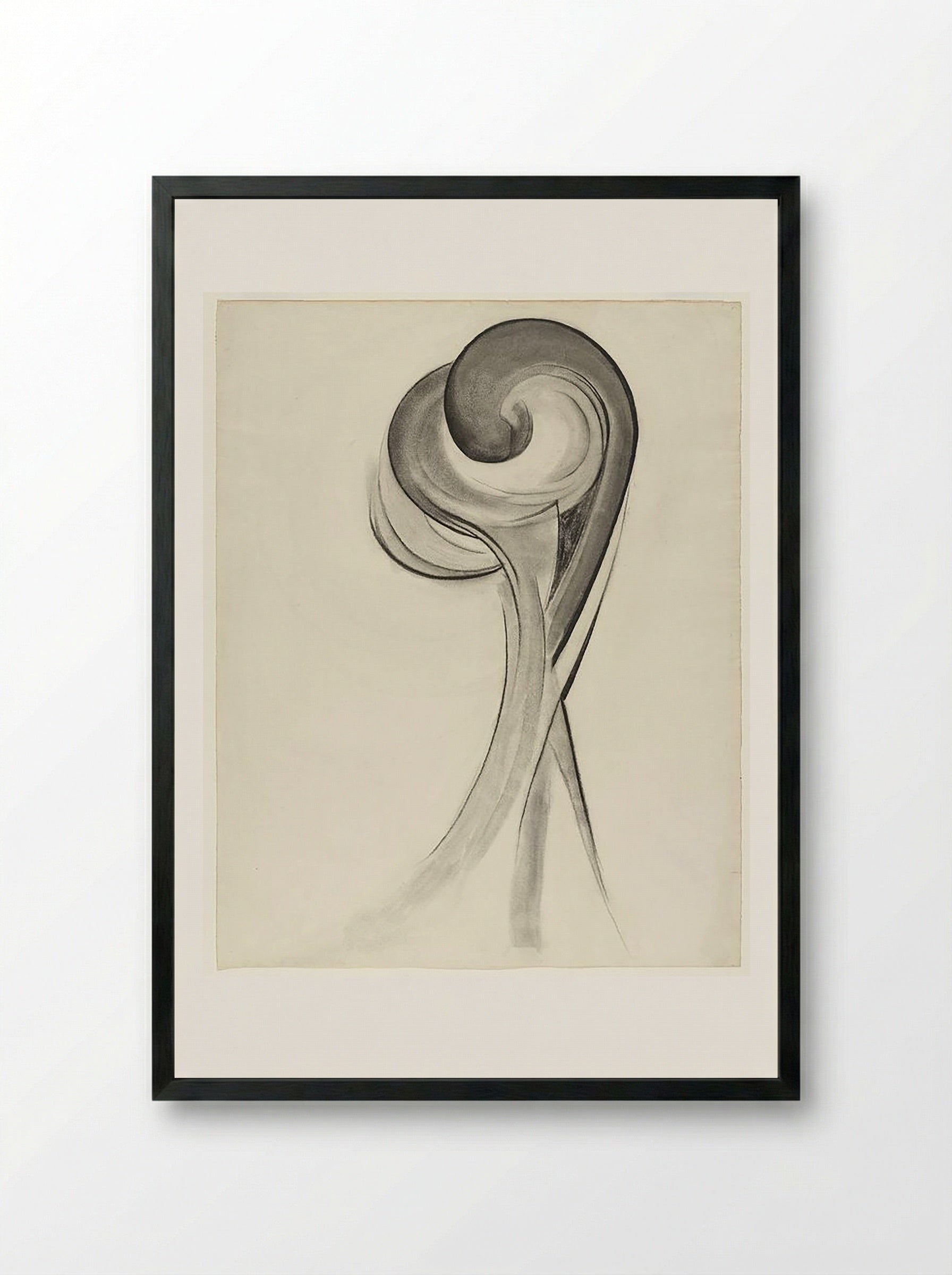 Untitled (Abstract Floral Study, Charcoal on Paper) - Fine Art Print - Framed Print Black