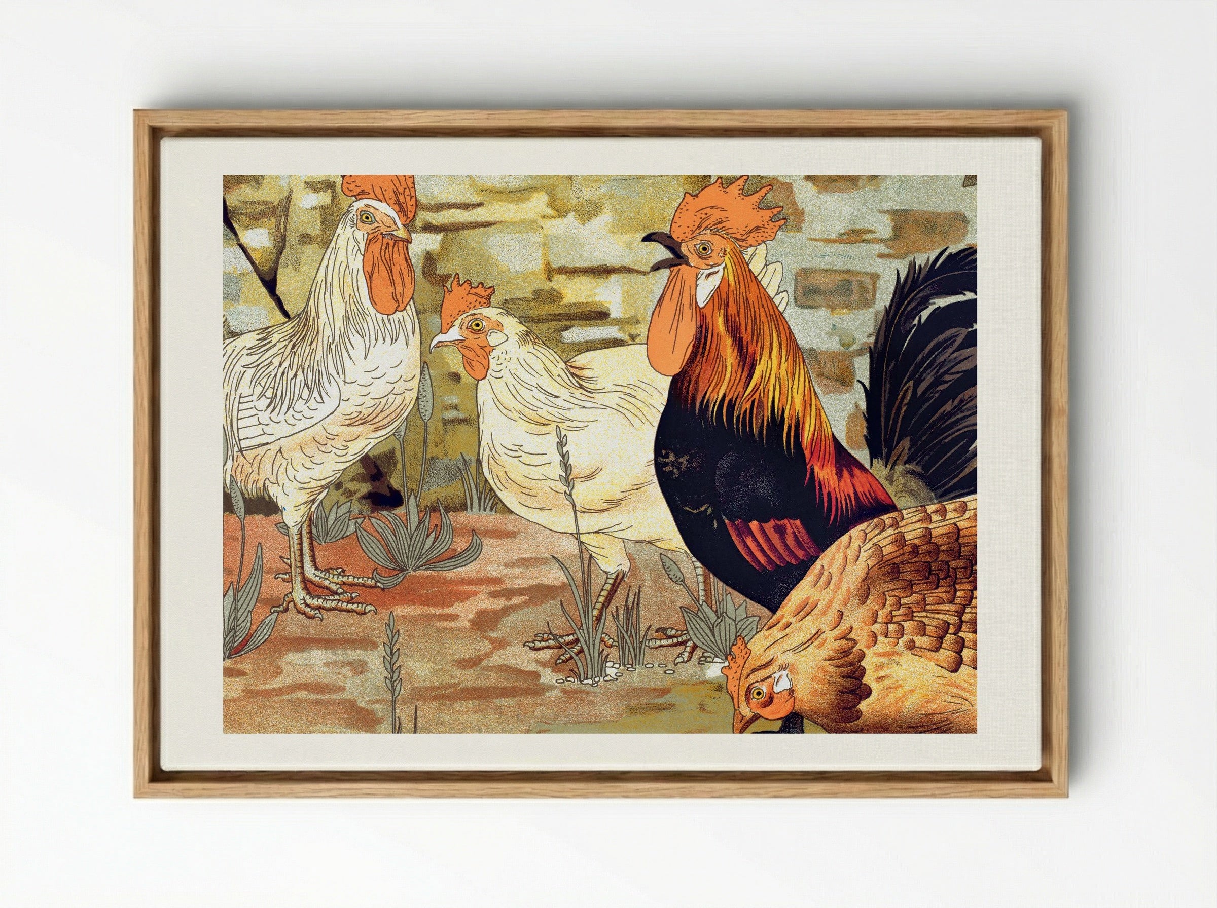 Coqs et Poules (From L'animal dans la décoration) - Maurice Pillard Verneuil - Framed Canvas Wood
