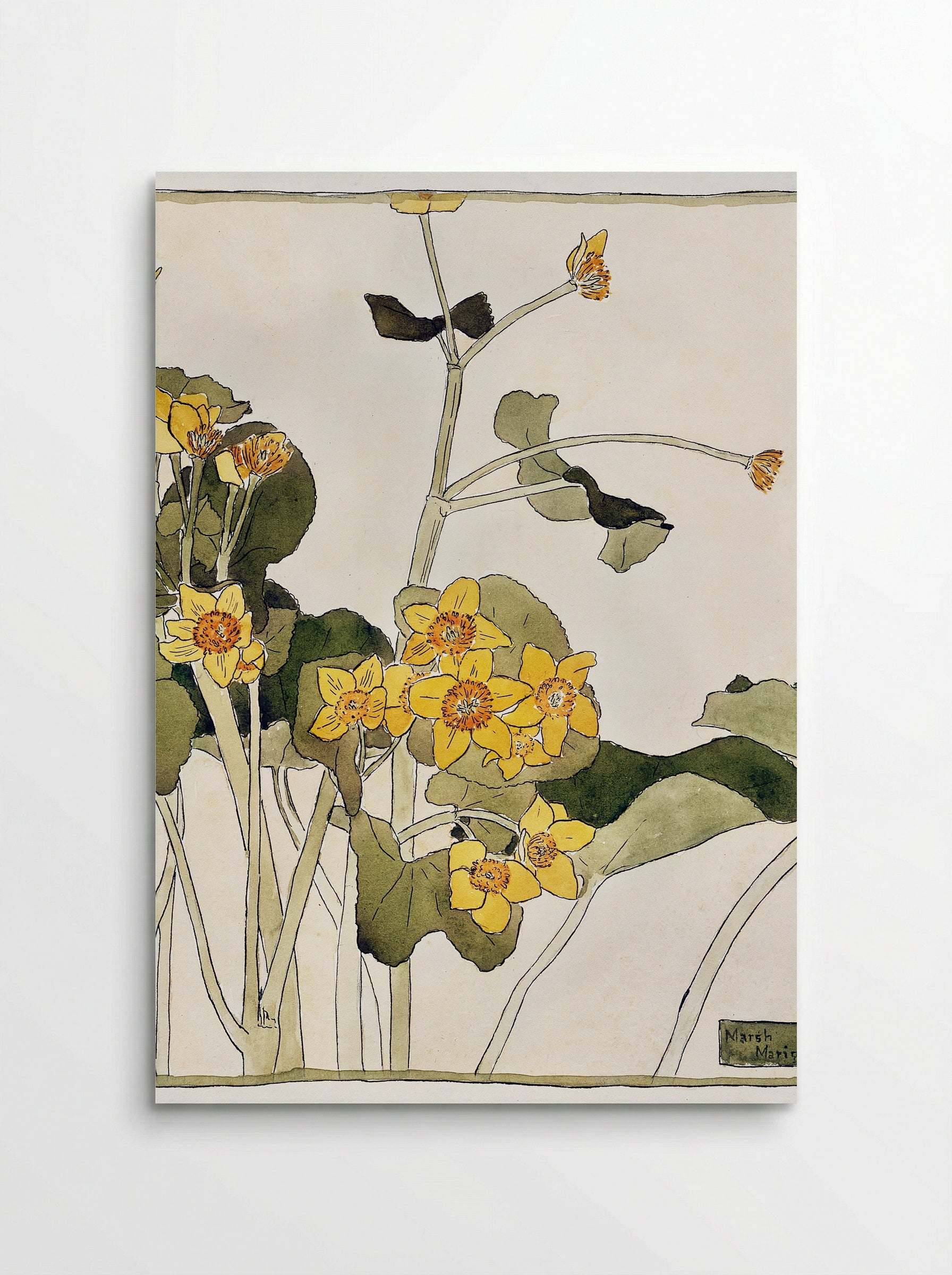 Marsh Marigold (1915) - Hannah Borger Overbeck - Poster