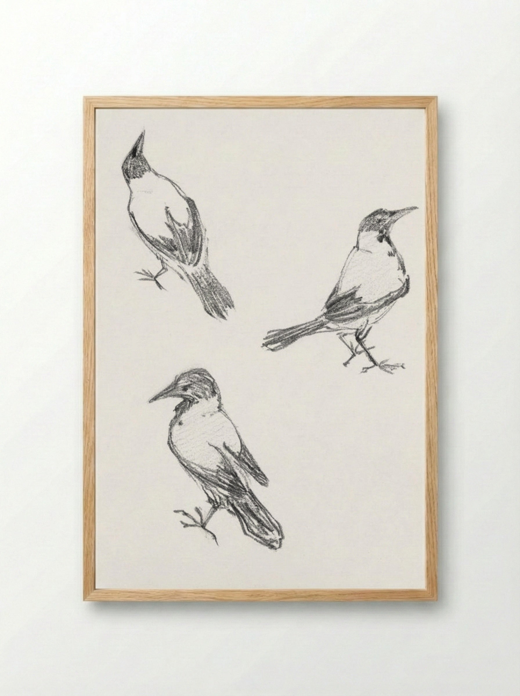 Three Sketches of a Crow - Julie de Graag - Framed Print Wood