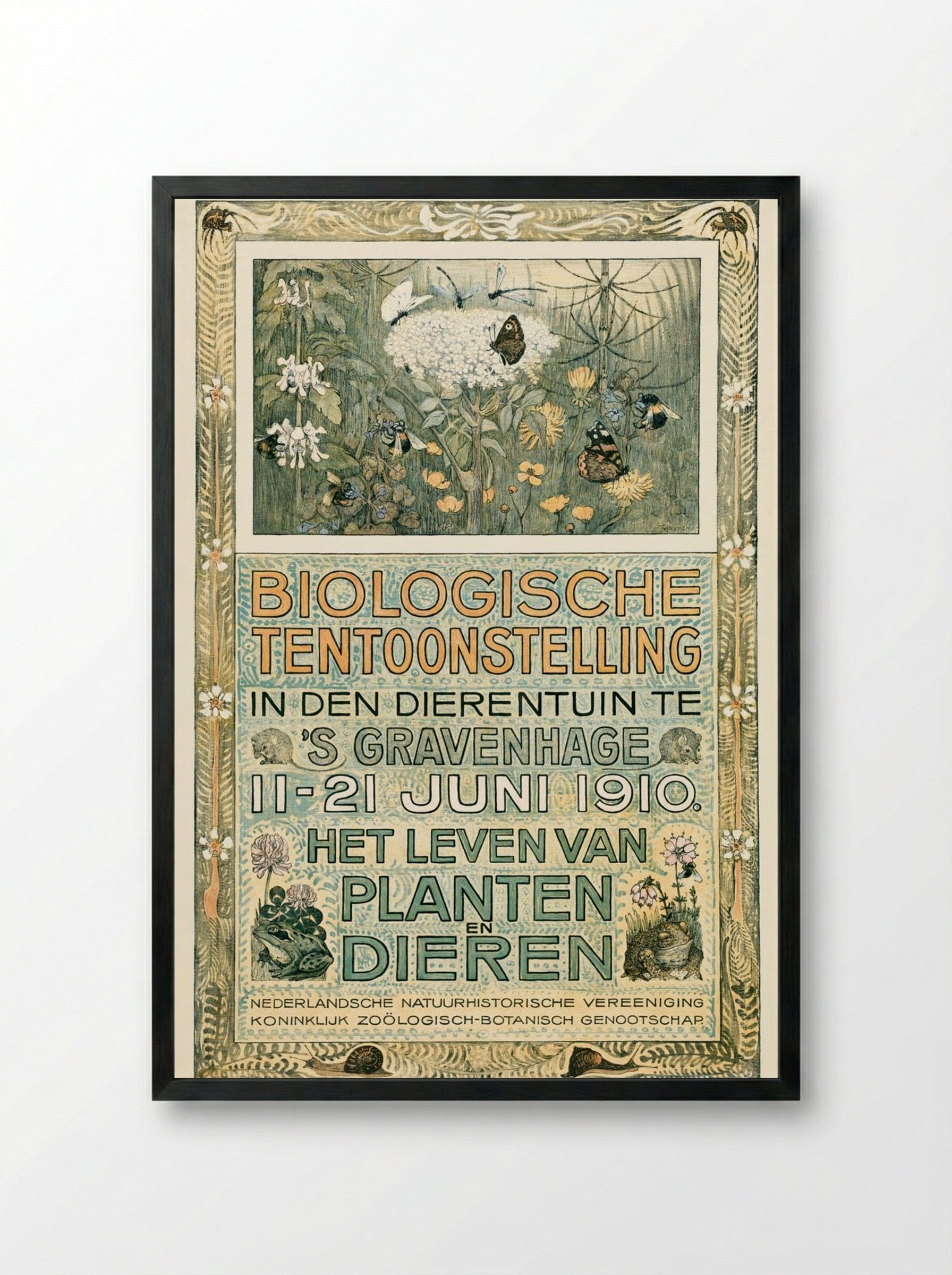 Poster of the Biologische Tentoonstelling (Biological Exhibition) - Theo van Hoytema - Framed Print Black