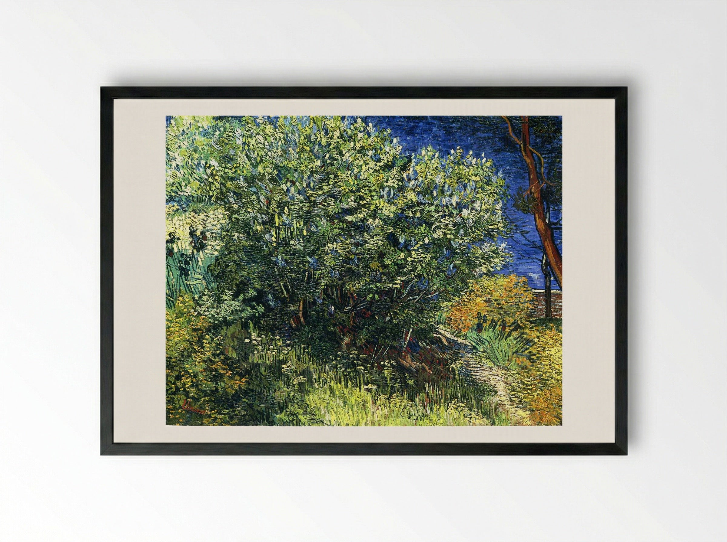 Lilac Bush - Vincent van Gogh - Framed Print Black