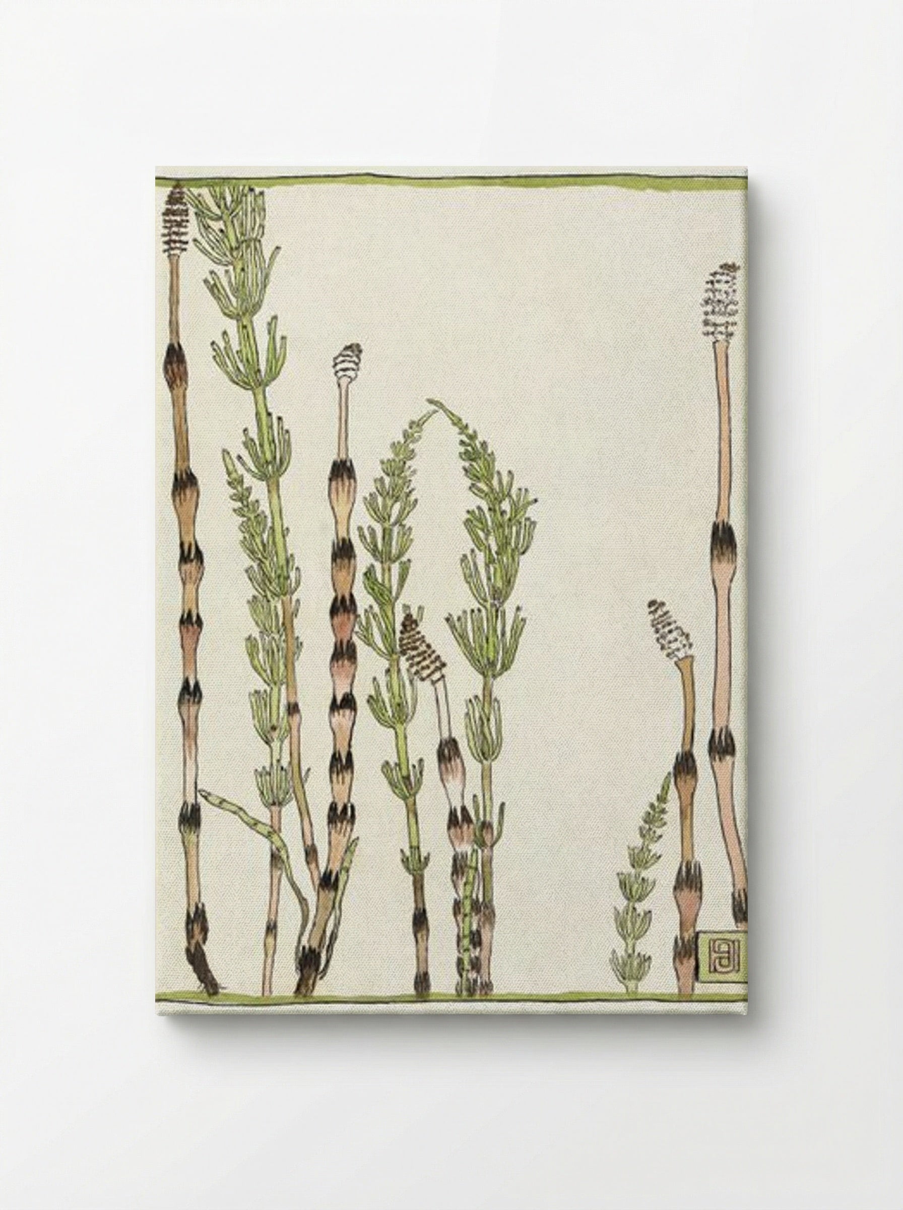 Horsetail - Hannah Borger Overbeck - Canvas