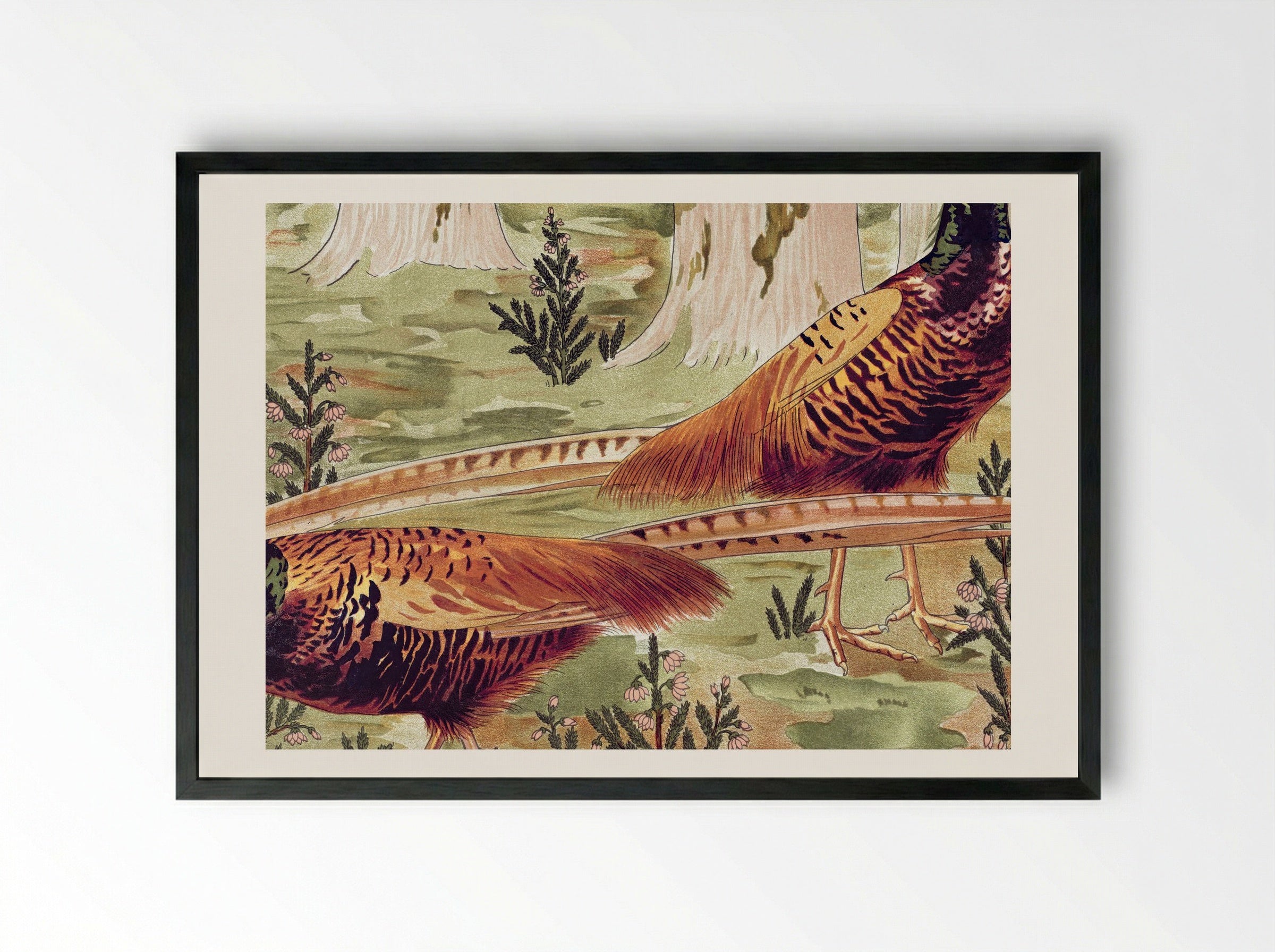 Faisans Ordinaires (Common Pheasants) - Maurice Pillard Verneuil - Framed Print Black