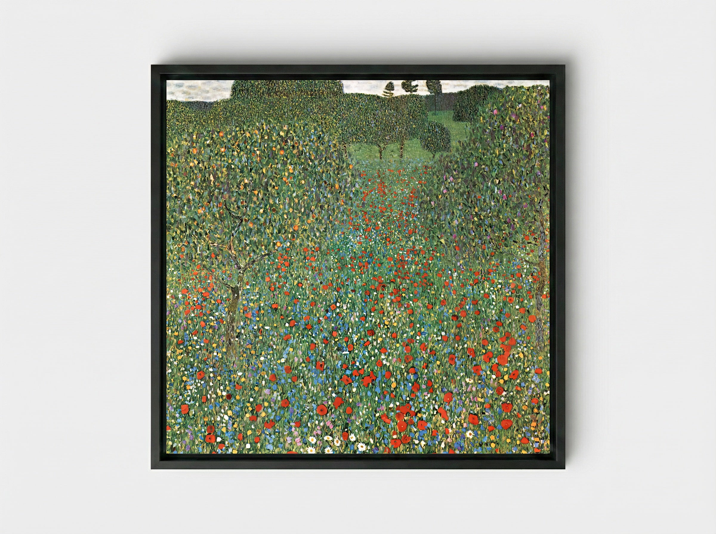 Poppy Field - Gustav Klimt - Framed Canvas Black