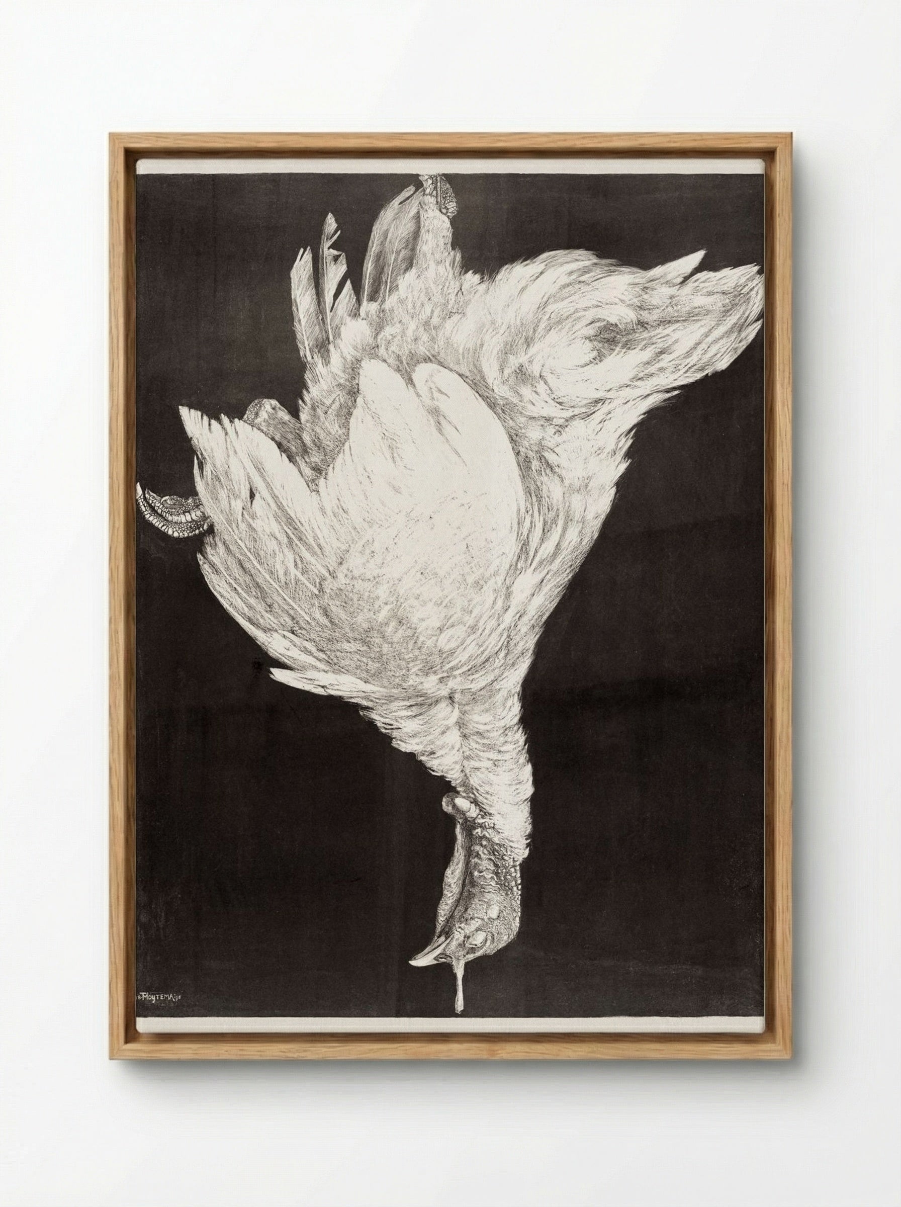 Dead Turkey - Theo van Hoytema - Framed Canvas Wood