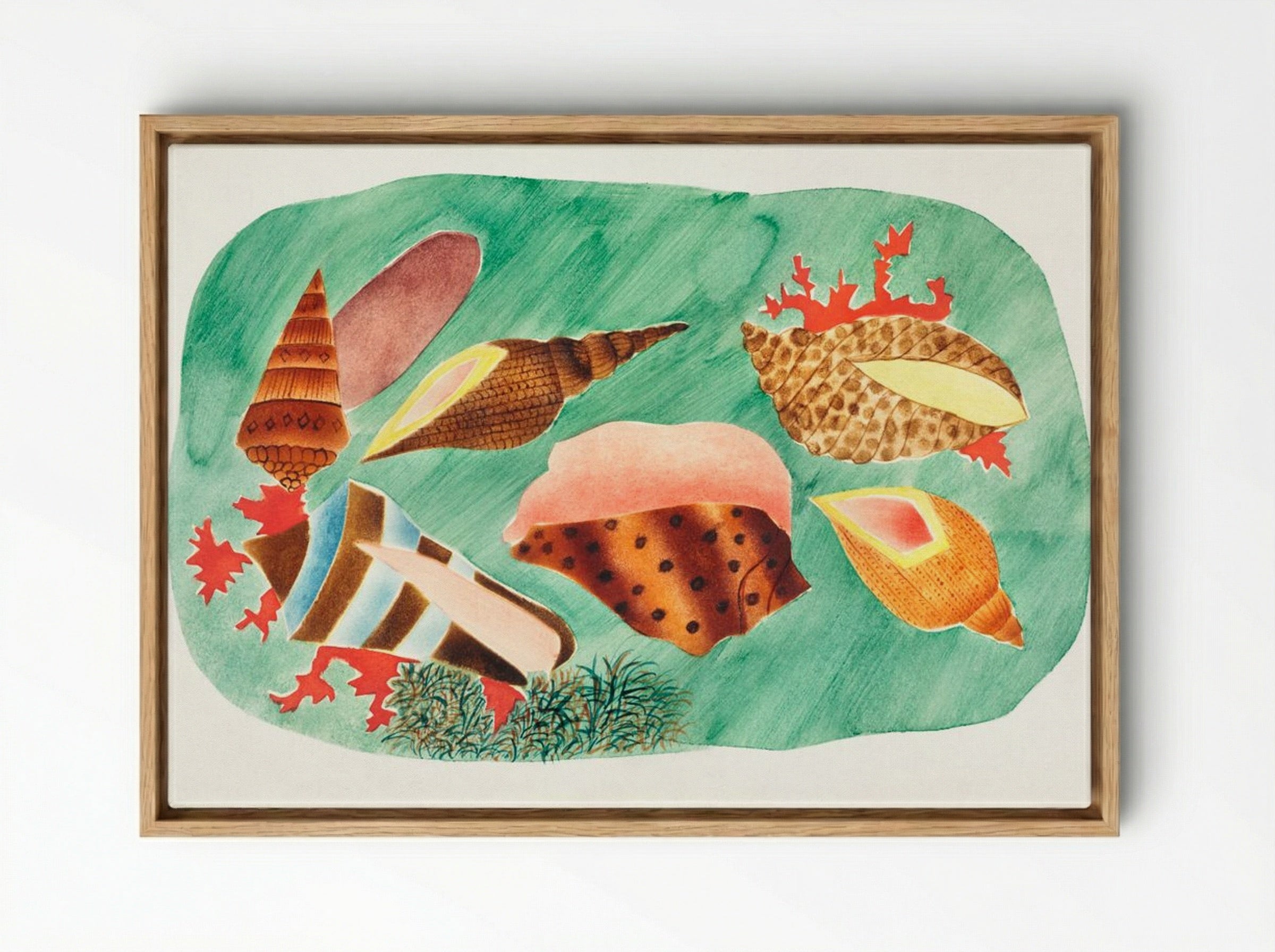 Shells in Seaweed - Mary Altha Nims - Framed Canvas Wood