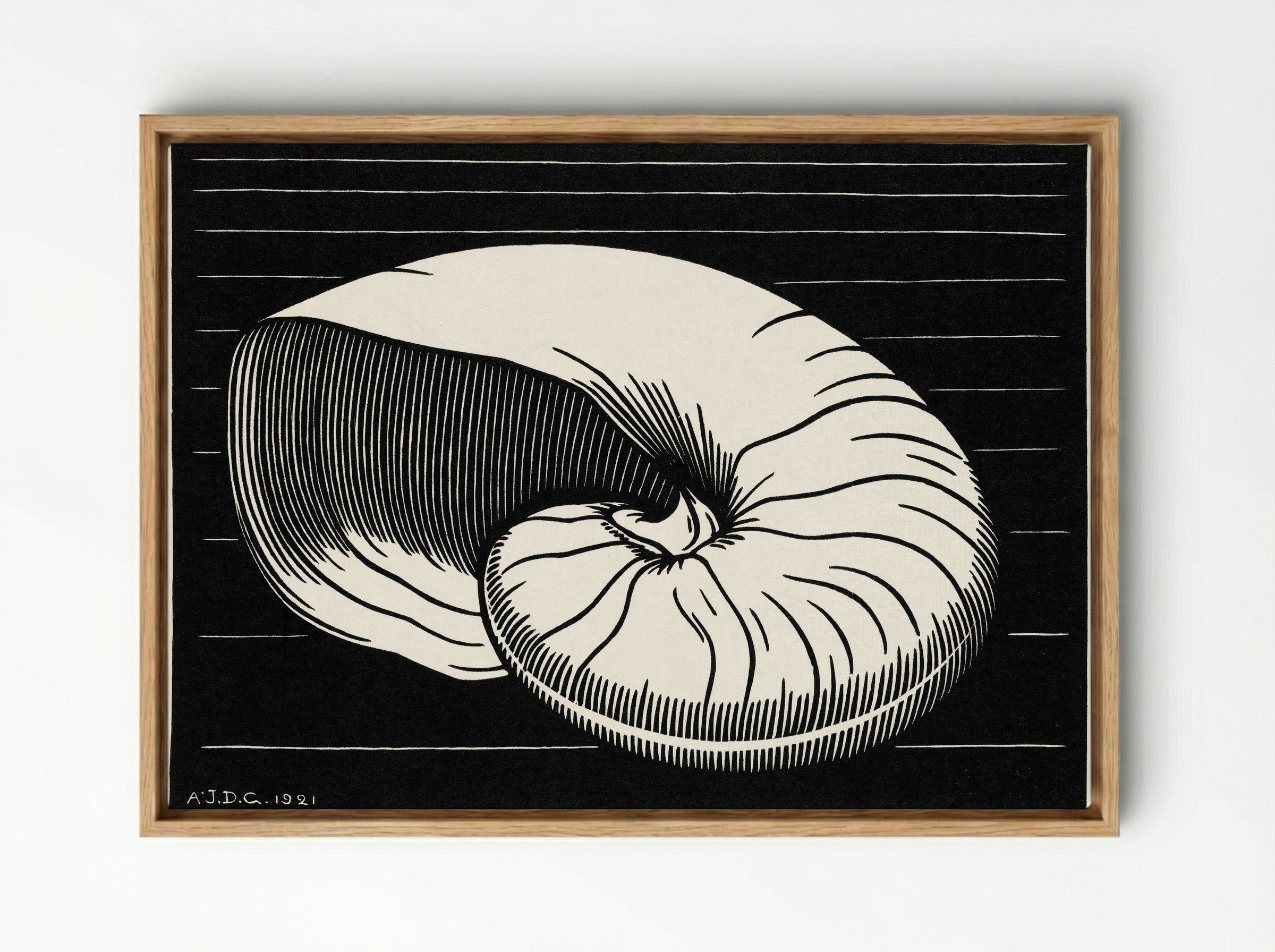 Shell - Julie de Graag - Framed Canvas Wood