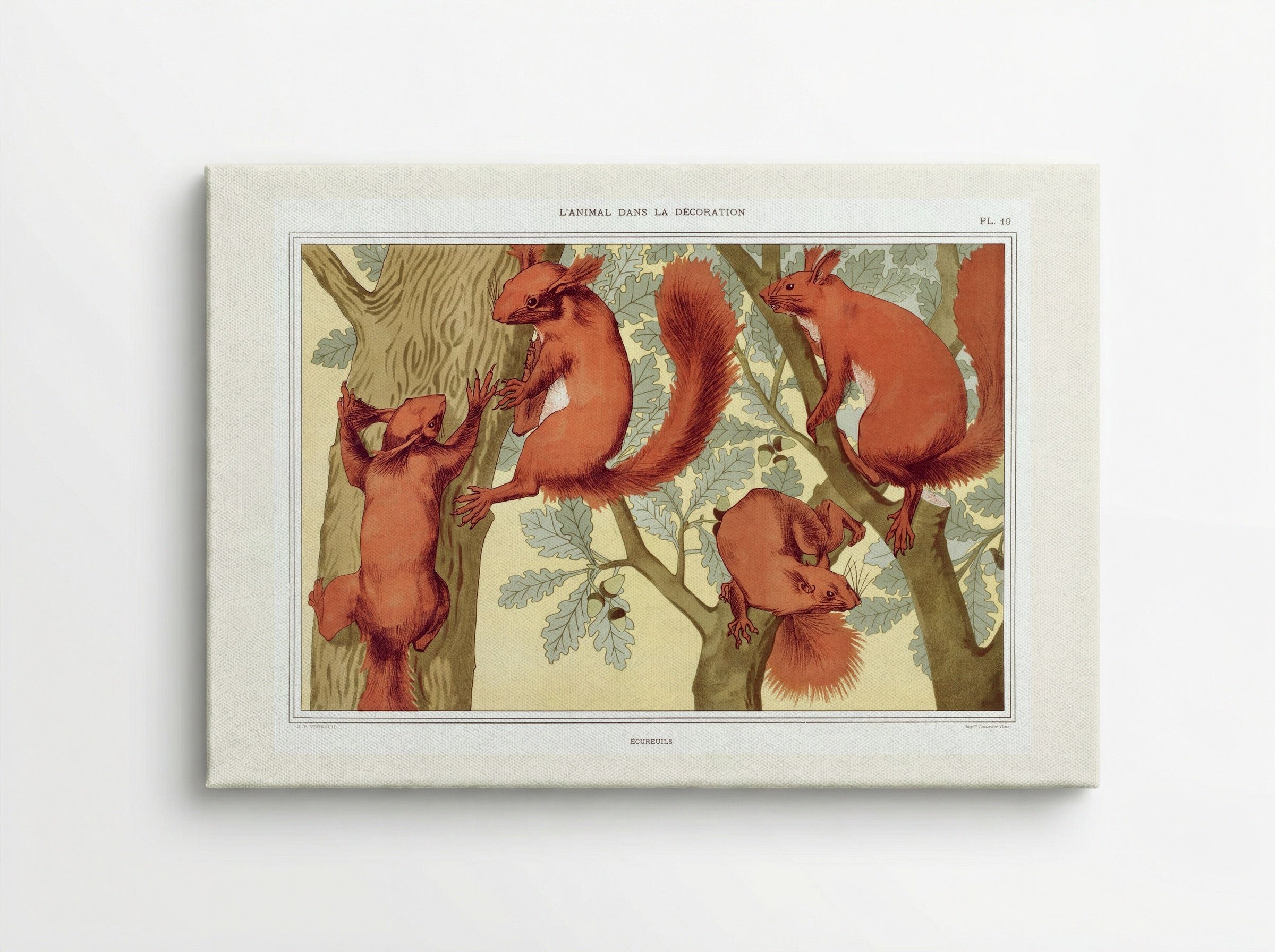 Écureuils (Squirrels) from L'animal dans la décoration - Maurice Pillard Verneuil - Canvas
