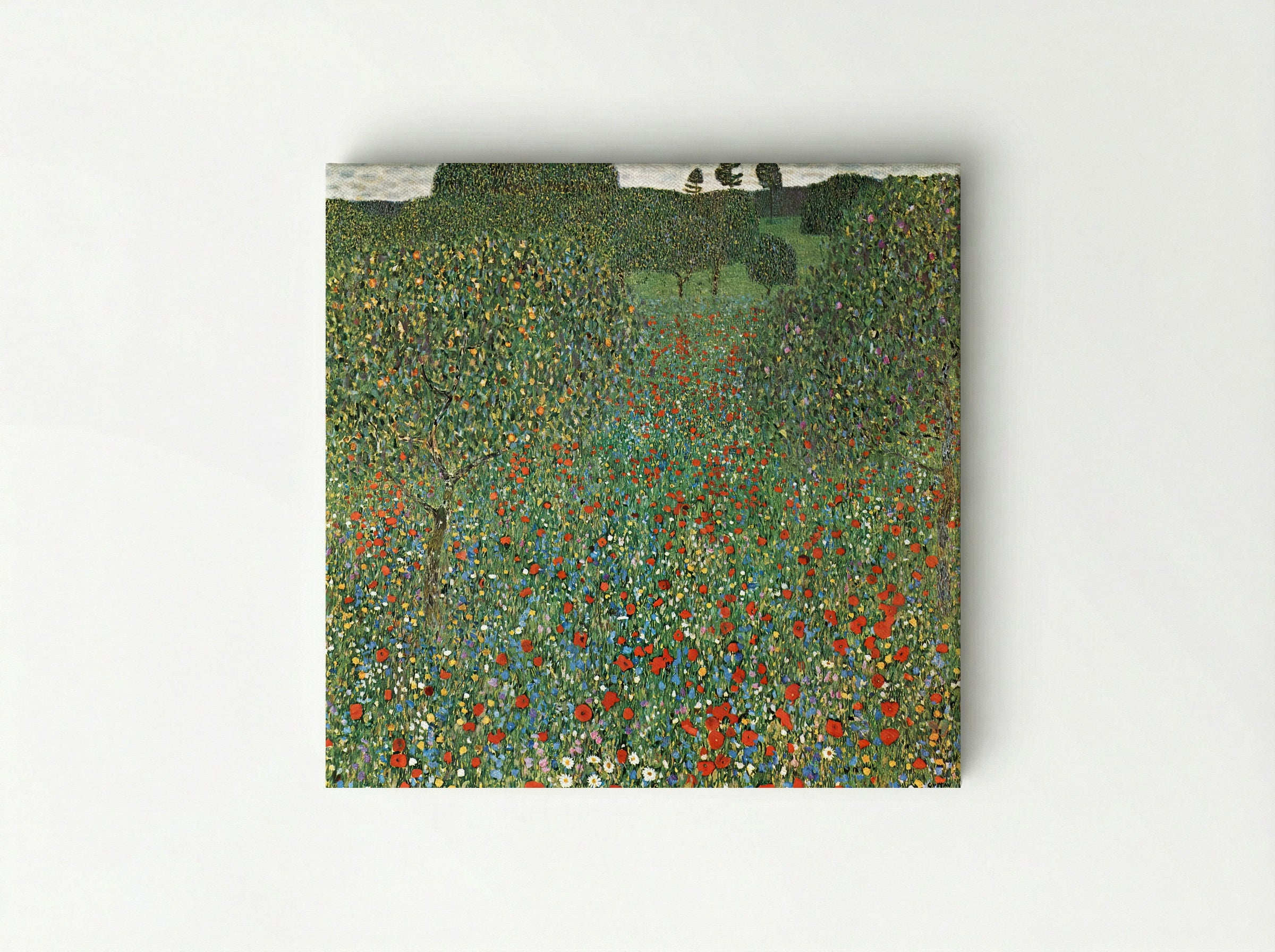 Poppy Field - Gustav Klimt - Canvas