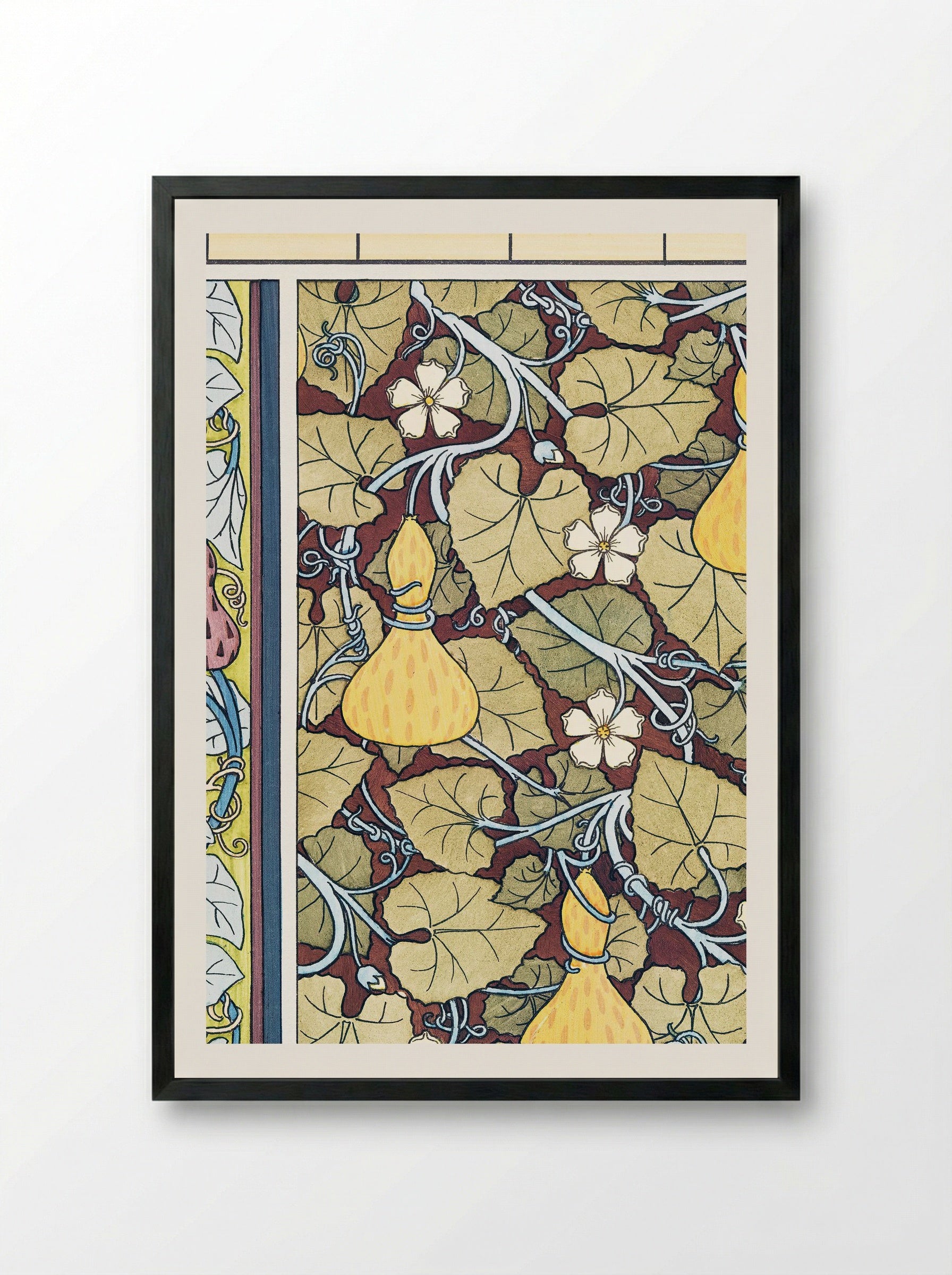 Courge (White-Flowered Gourd, from La Plante et ses Applications ornementales) - Maurice Pillard Verneuil - Framed Print Black