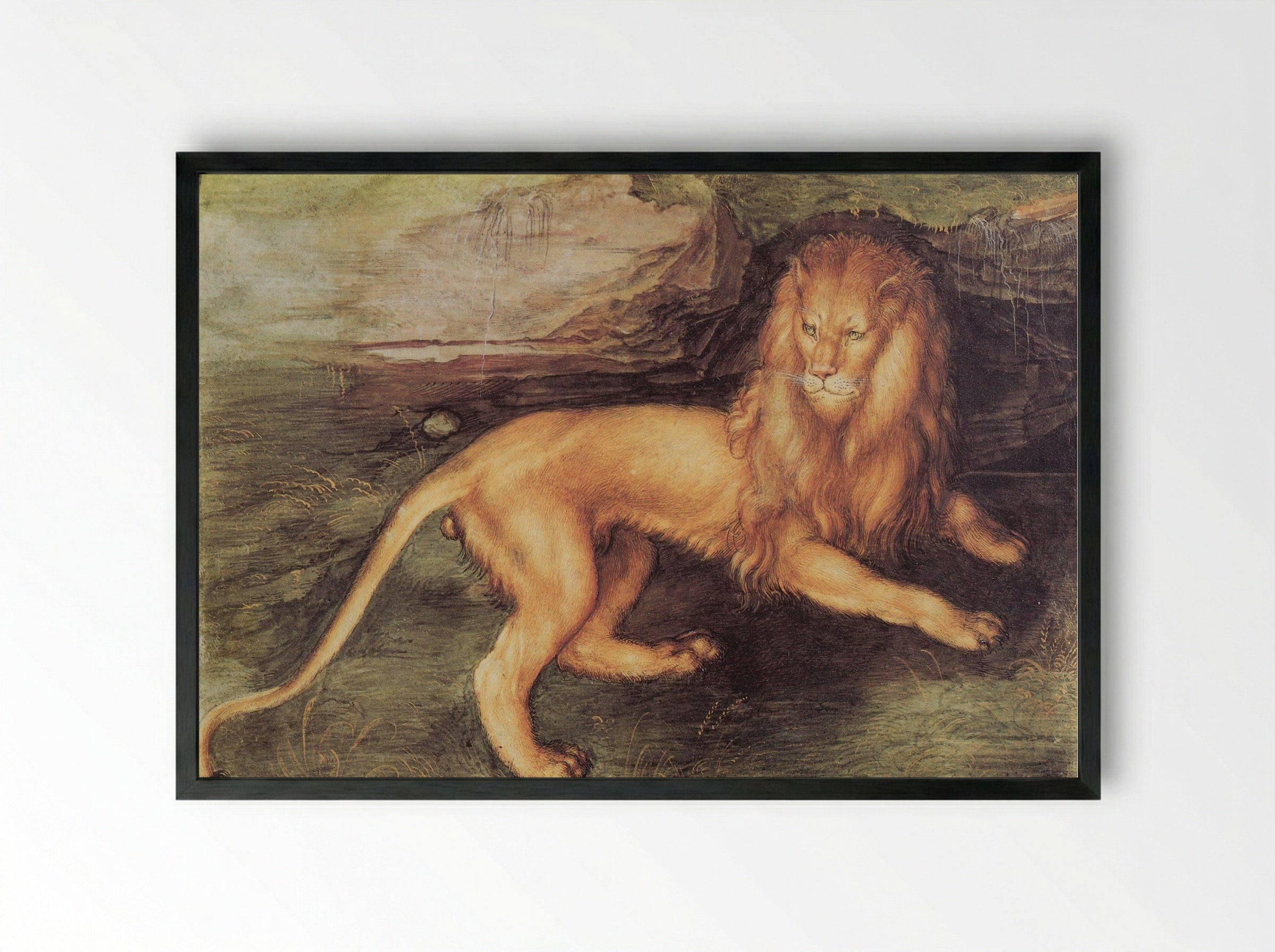 Study of a Lion - Leonardo da Vinci - Framed Print Black