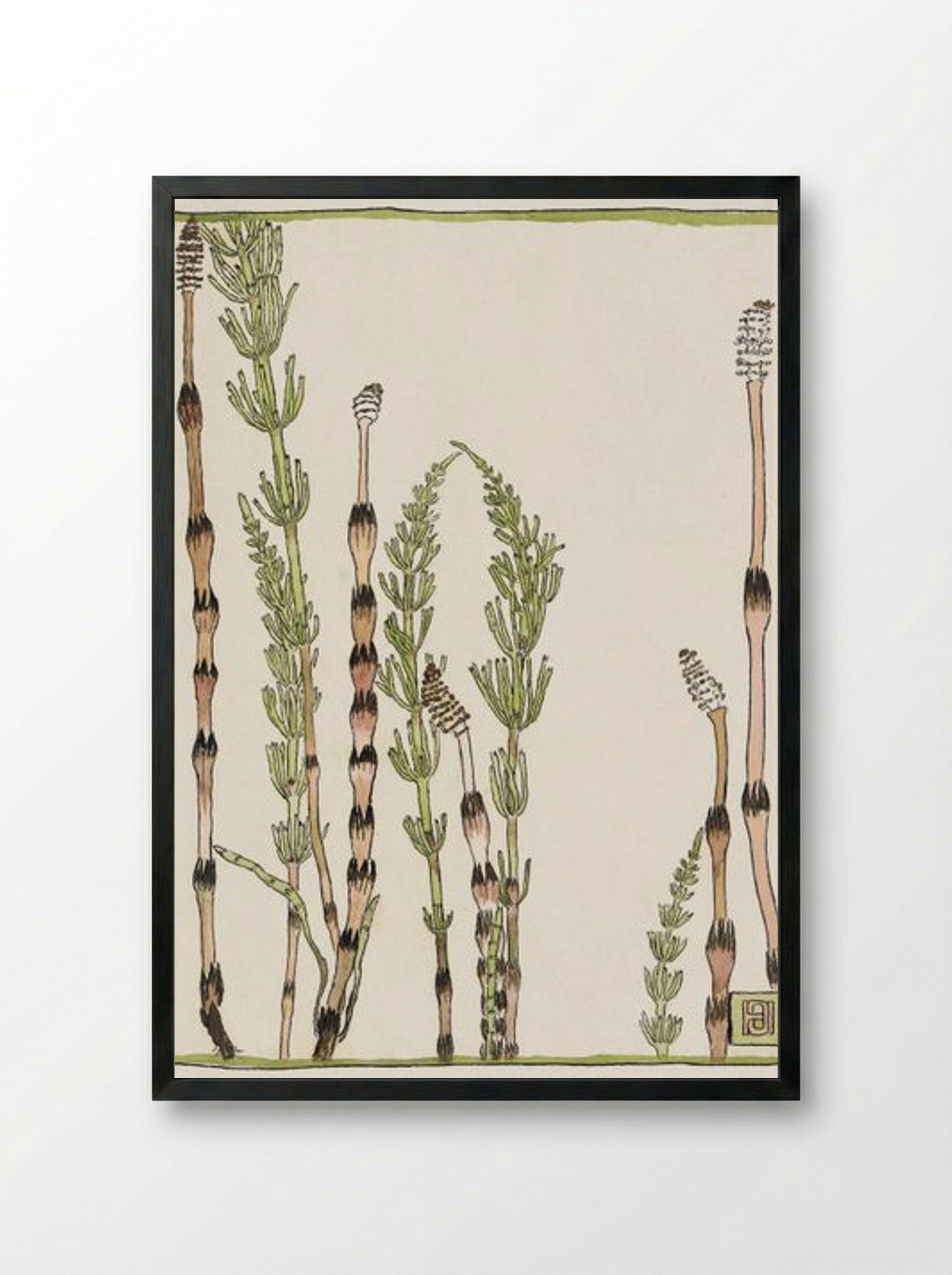 Horsetail - Hannah Borger Overbeck - Framed Print Black