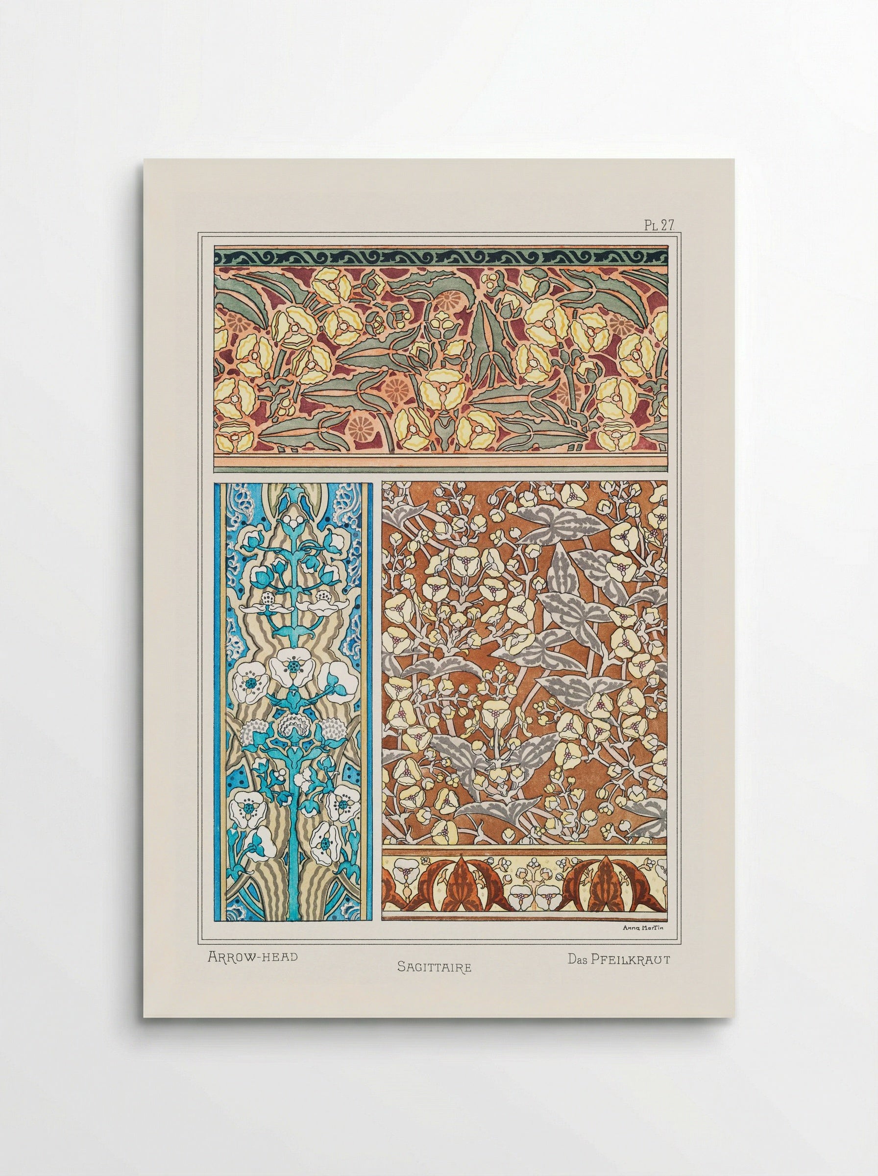 Sagittaire (Arrowhead) from La Plante et ses Applications ornementales - Maurice Pillard Verneuil - Poster