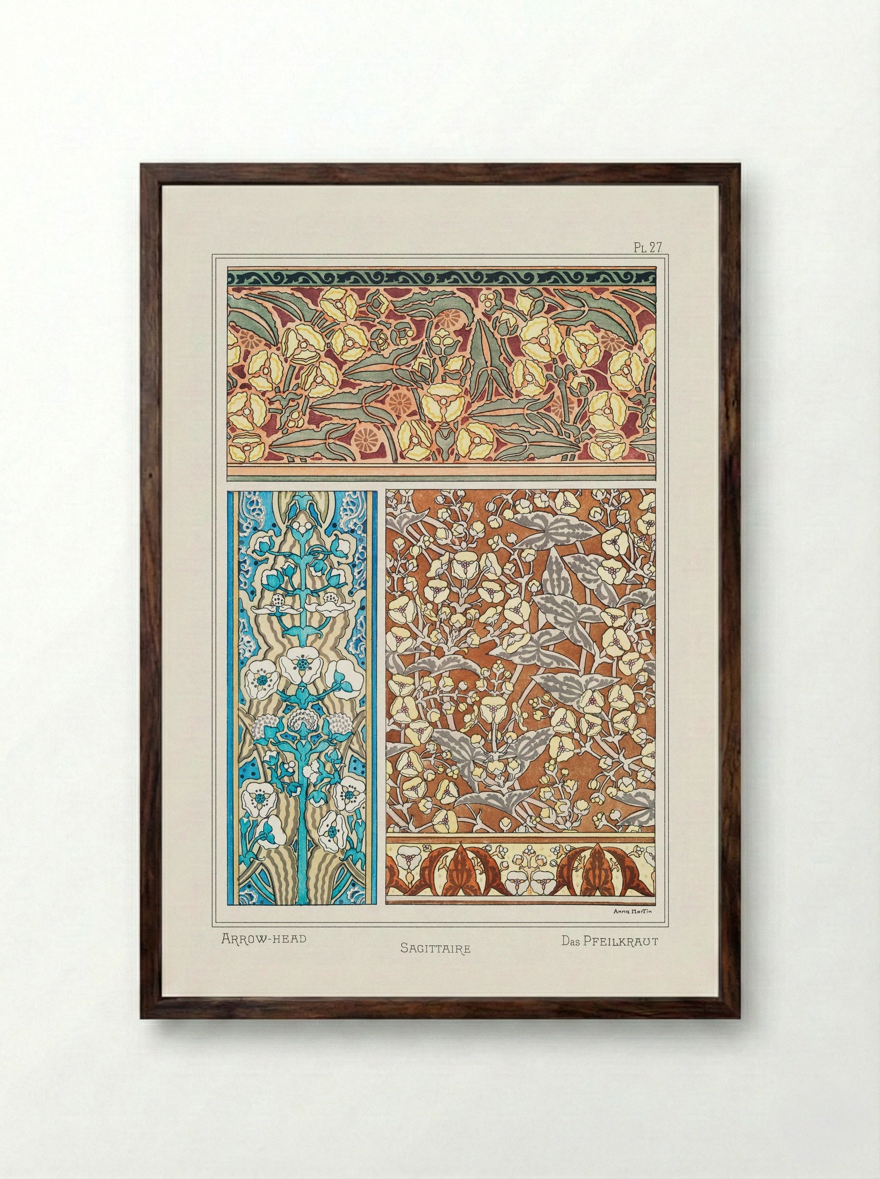 Sagittaire (Arrowhead) from La Plante et ses Applications ornementales - Maurice Pillard Verneuil - Framed Print Dark Wood