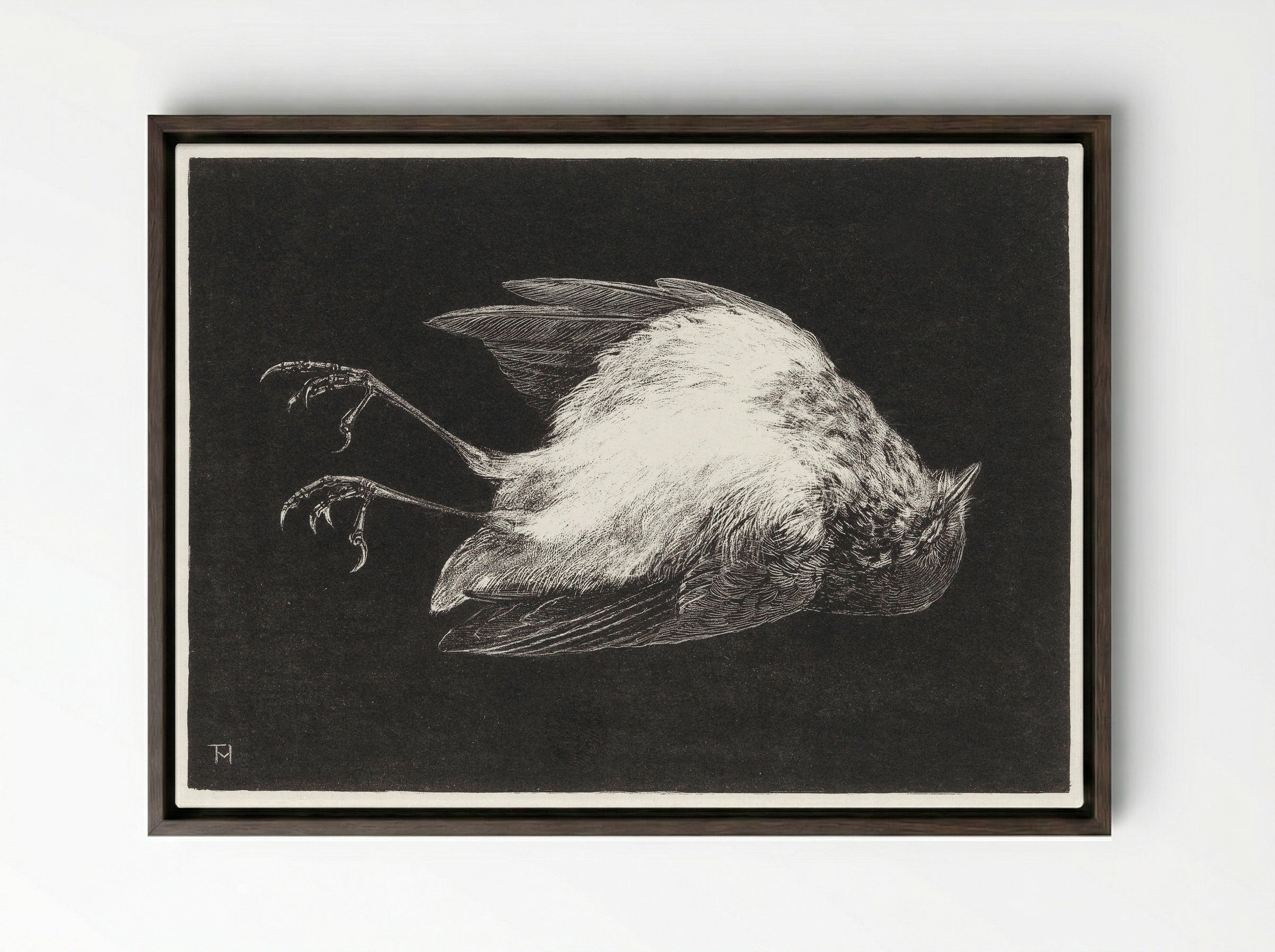 Dood Roodborstje (Dead Robin) - Theo van Hoytema - Framed Canvas Dark Wood