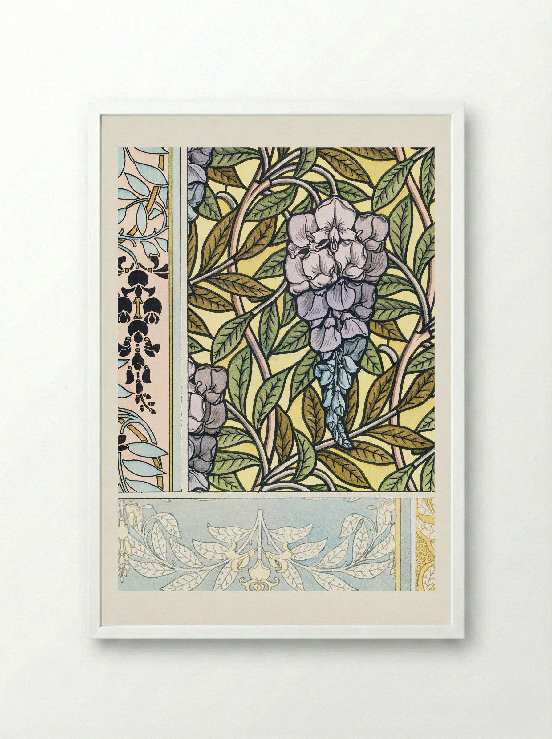Glycine (Wisteria) from La Plante et ses Applications ornementales - Maurice Pillard Verneuil - Framed Print White