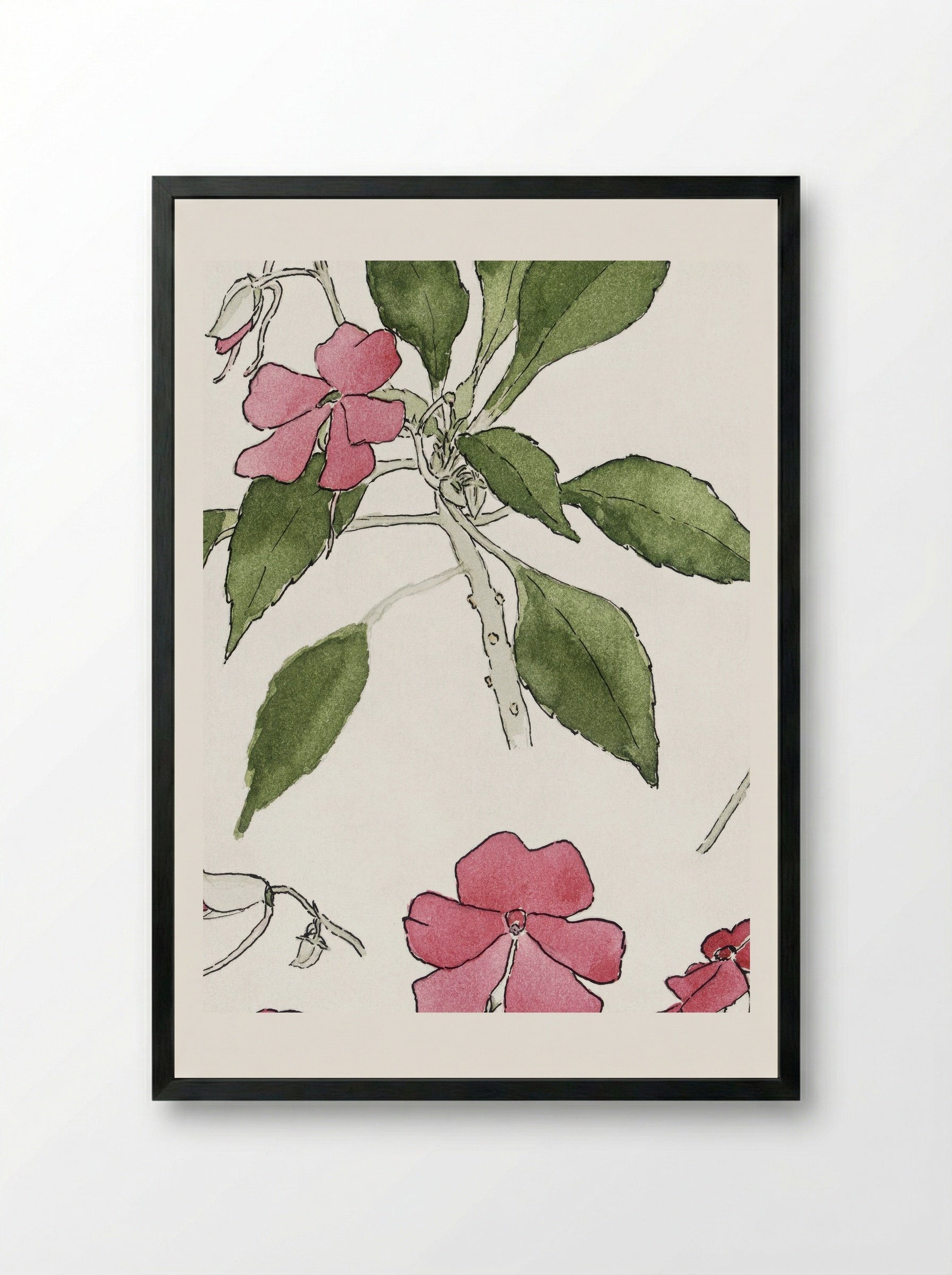 Sultana (1915) - Hannah Borger Overbeck - Framed Print Black
