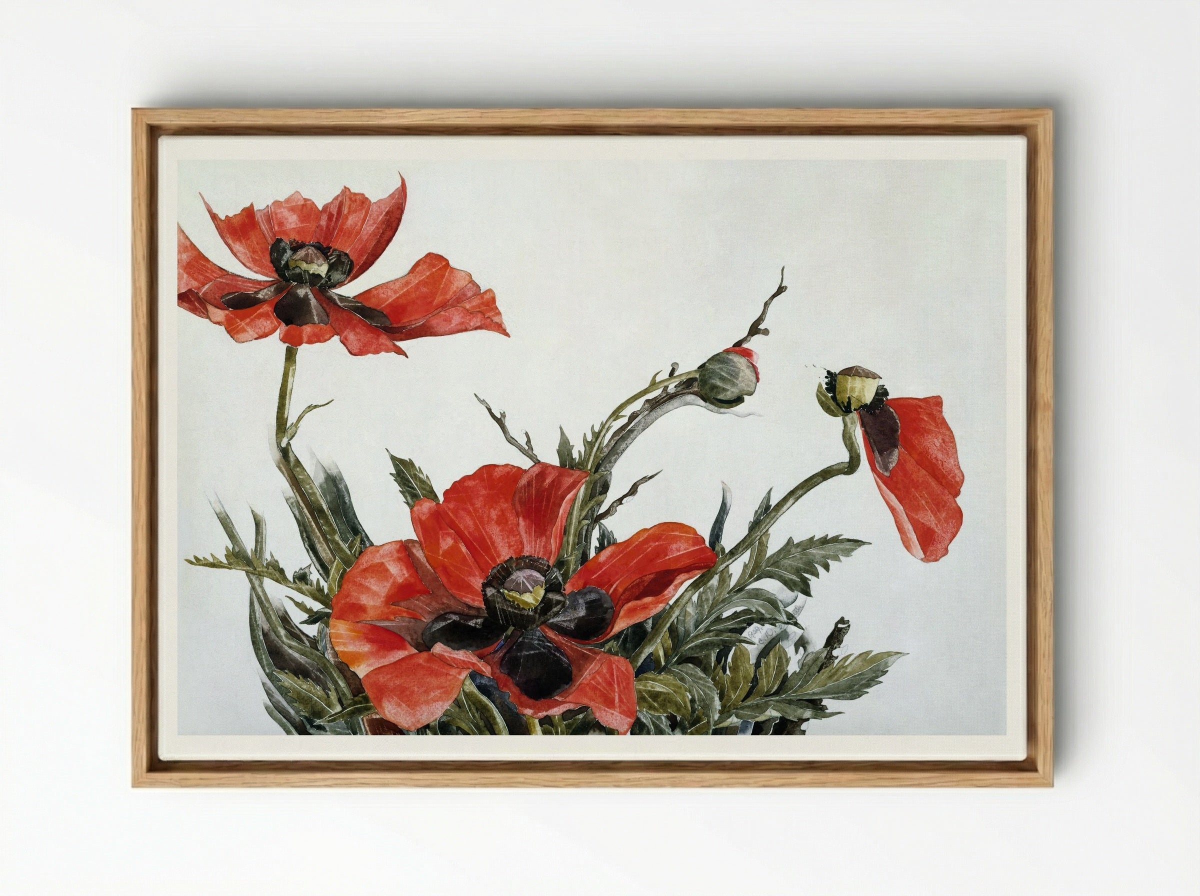 Red Poppies - Charles Demuth - Framed Canvas Wood