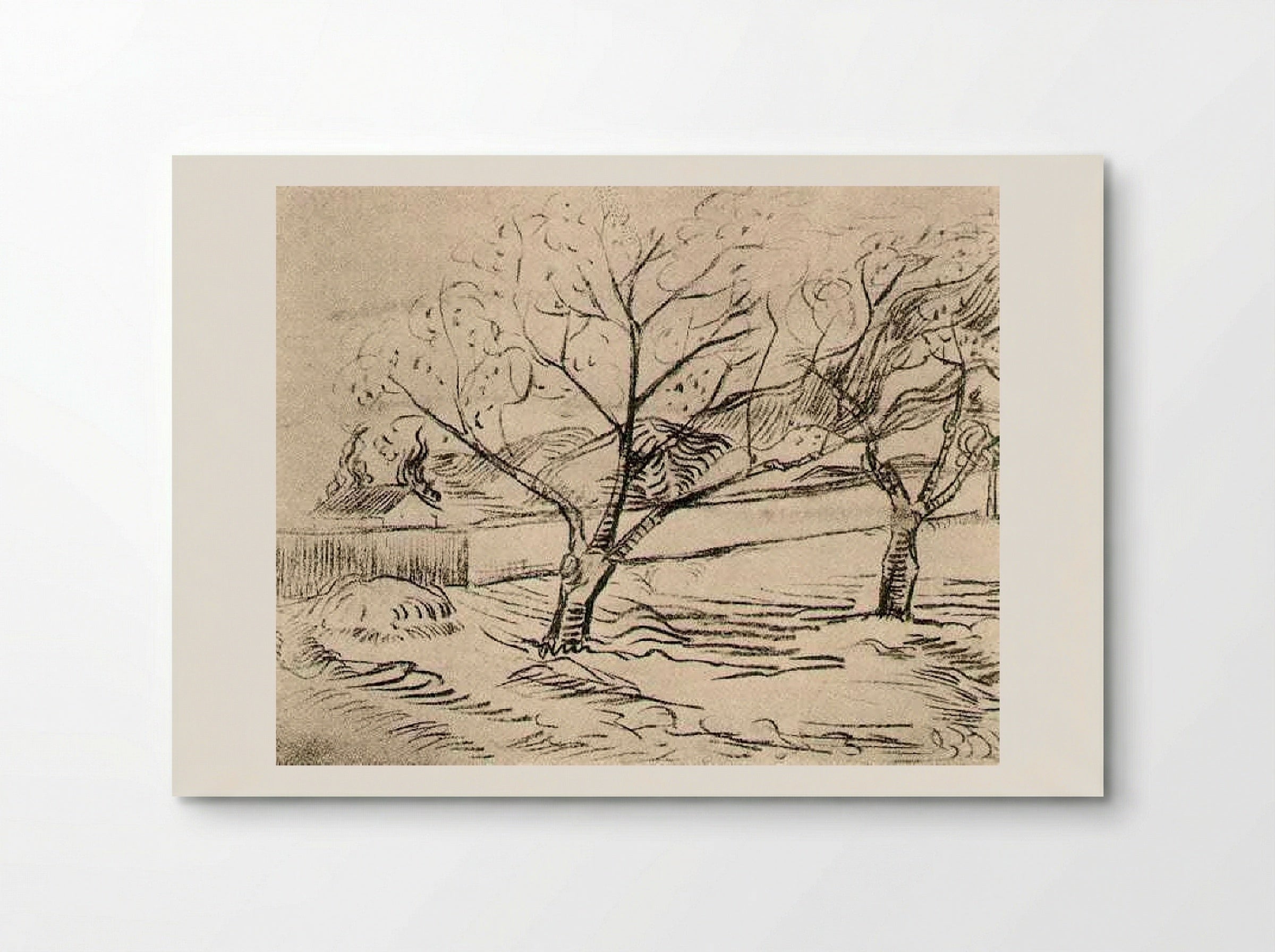 Two Trees in the Meadow - Vincent van Gogh - Poster