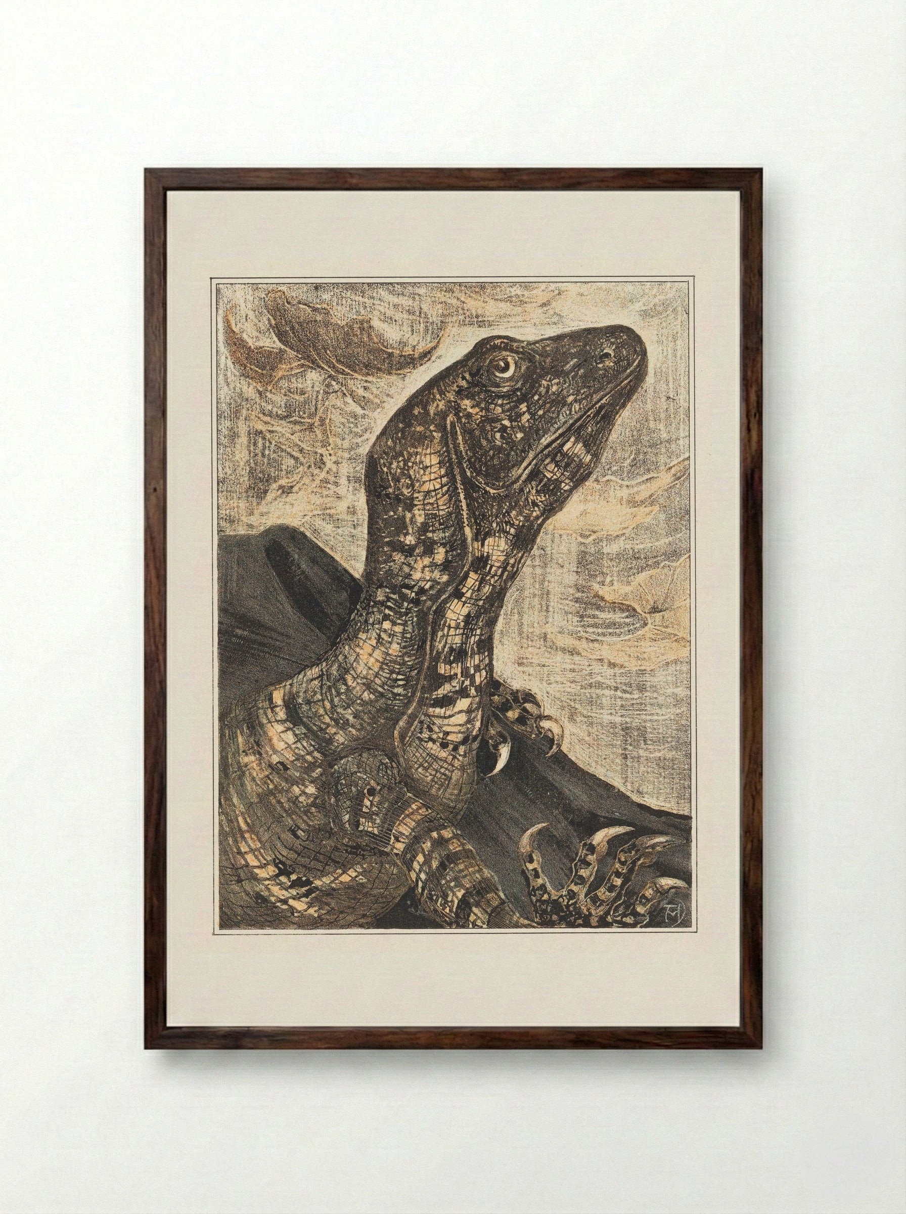 Leguaan (Monitor Lizard) - Theo van Hoytema - Framed Print Dark Wood